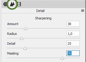Detail-panelet i Camera Raw i Elements.