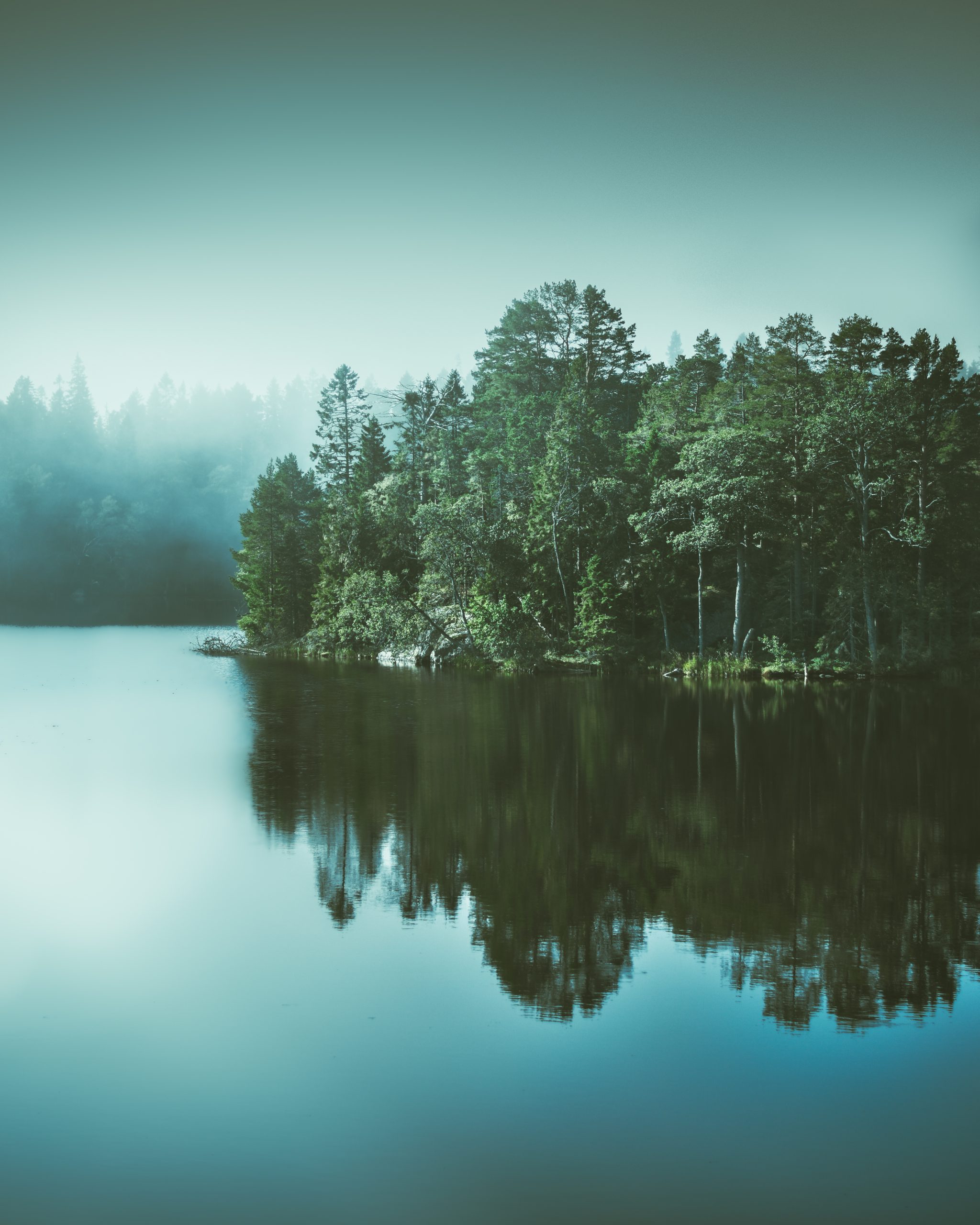 Enkel naturbild från Norden