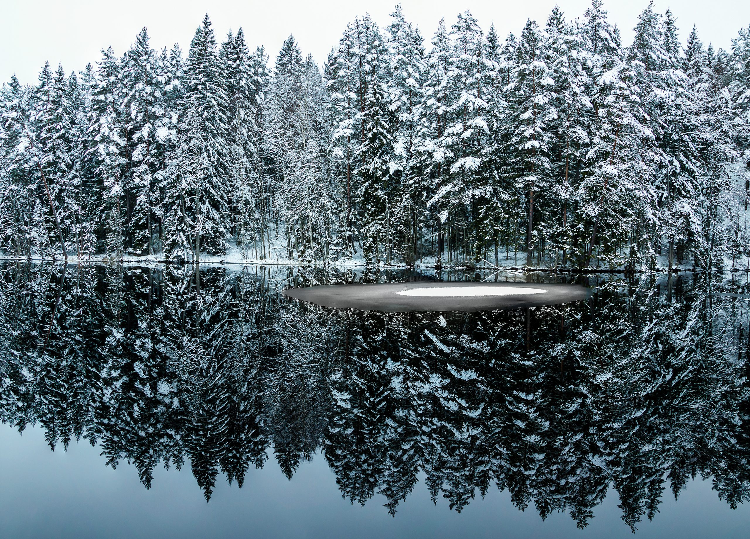 Snötäckta träd speglas i en blank vattenyta