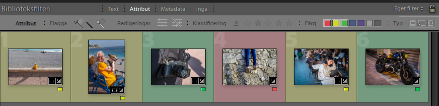 Biblioteksfilter i Lightroom