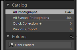 Panelet Catalog i Lightroom