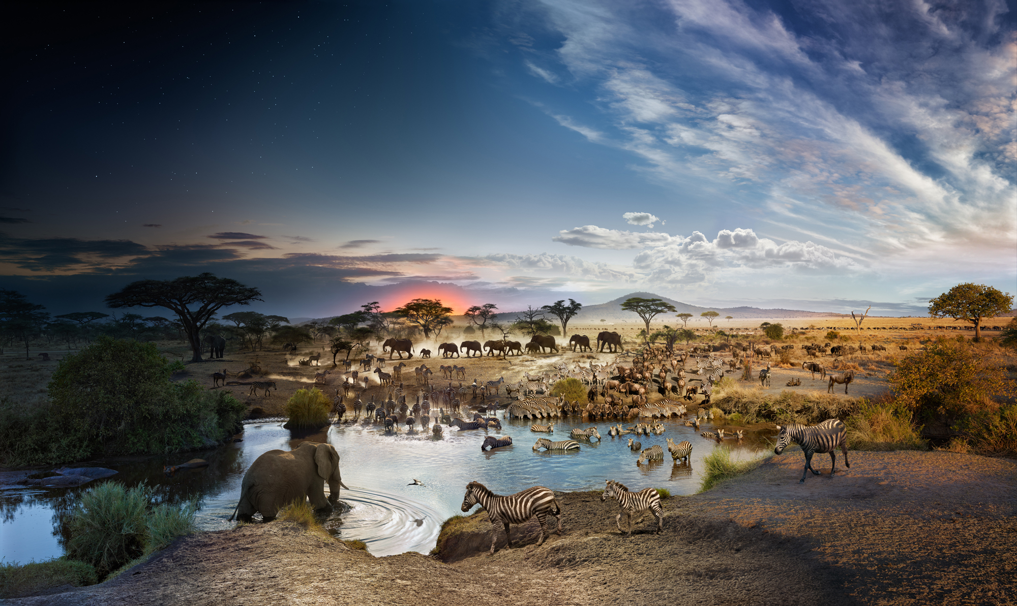 Panoramabillede af vandhul i Serengeti i Tanzania
