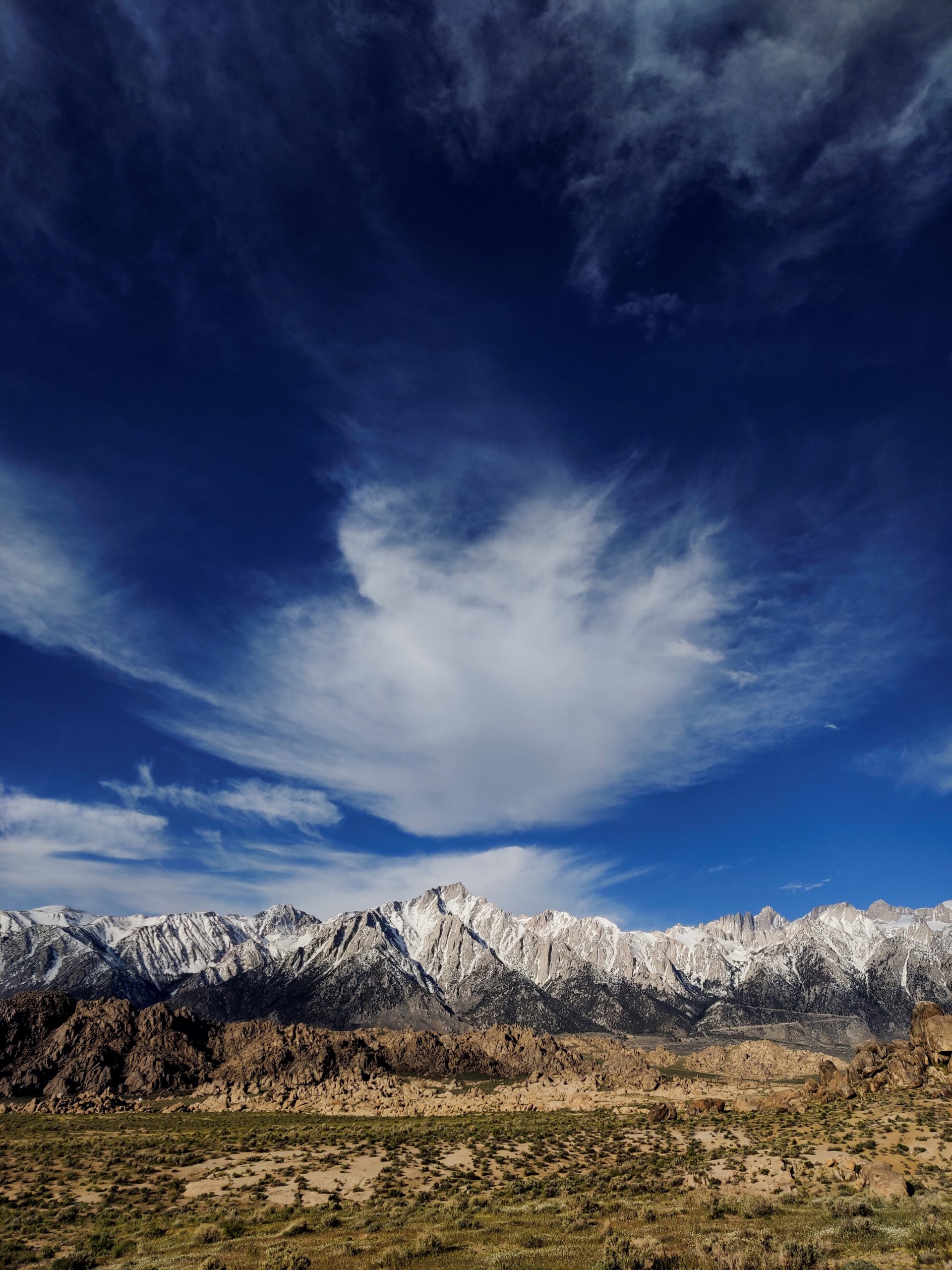 skogbilde i varme toner
