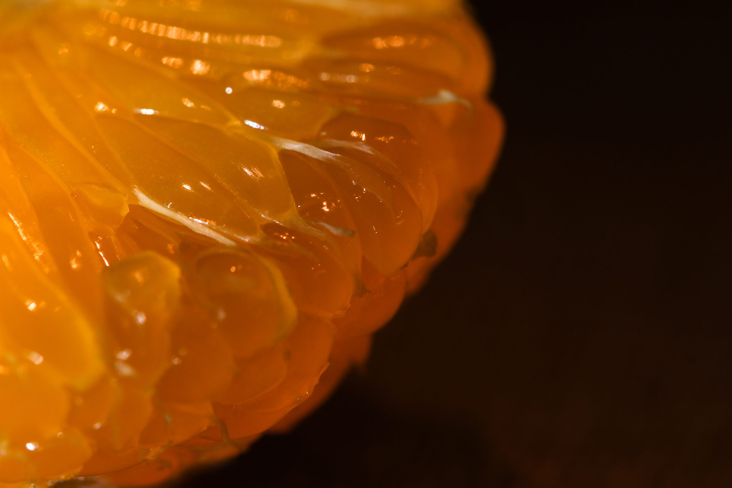 en apelsinklyfta fotograferad med makroobjektiv