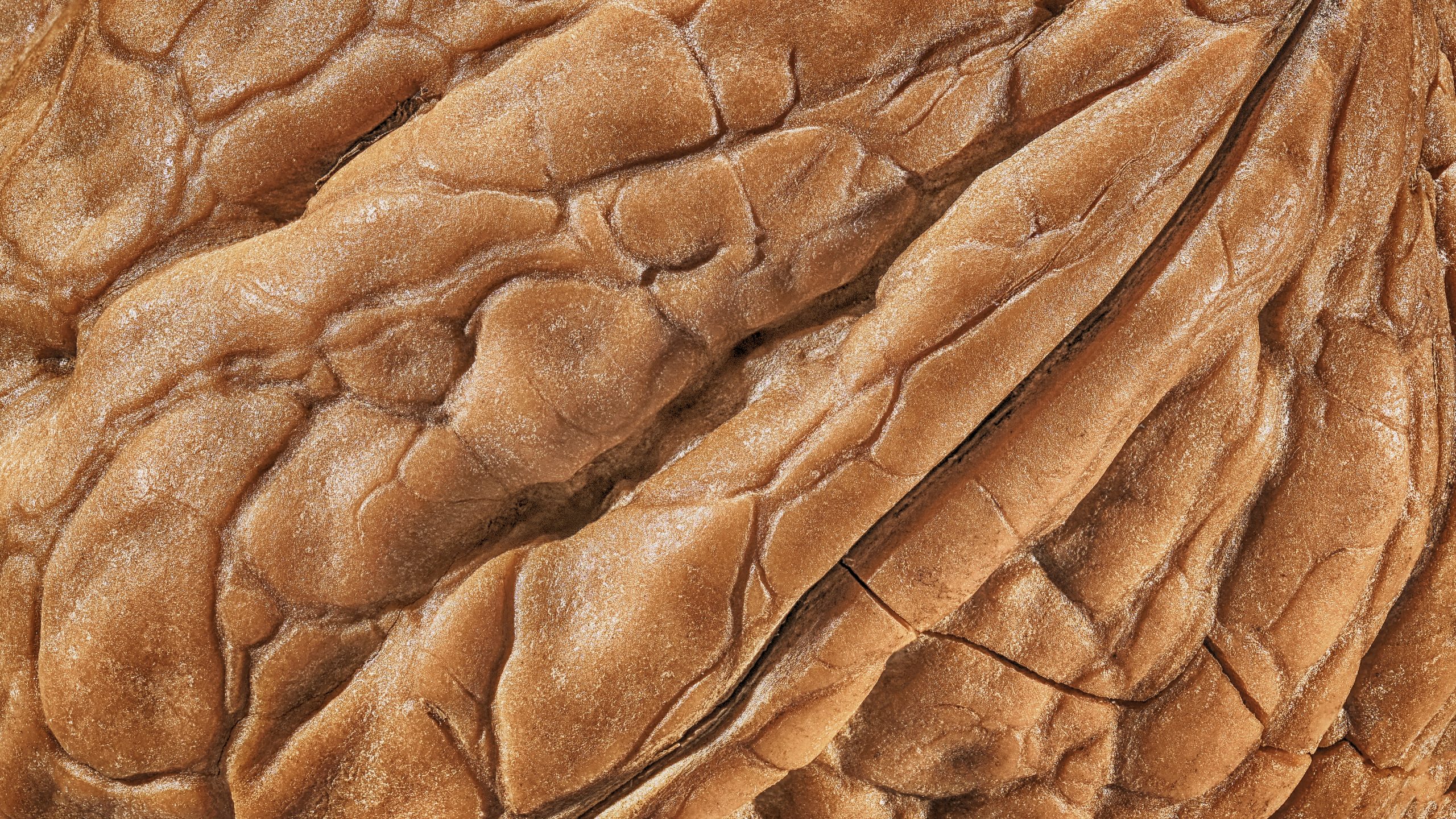 maapähkinä lähikuvassa