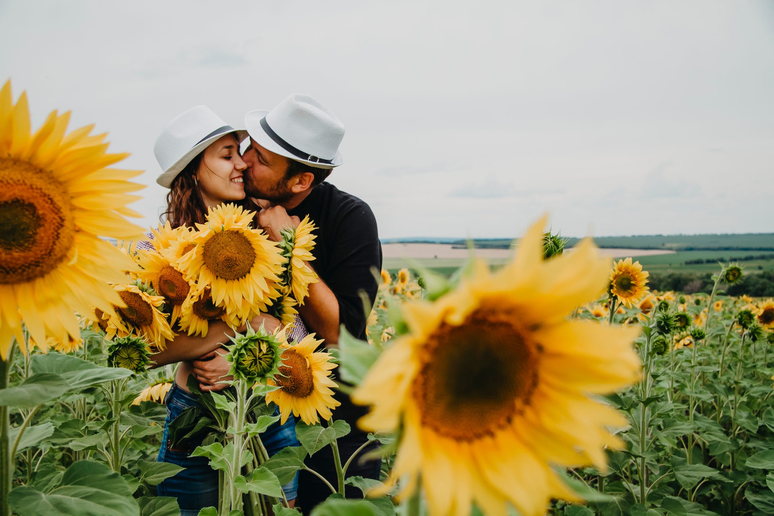 Förälskat par kysser varandra bland solrosor
