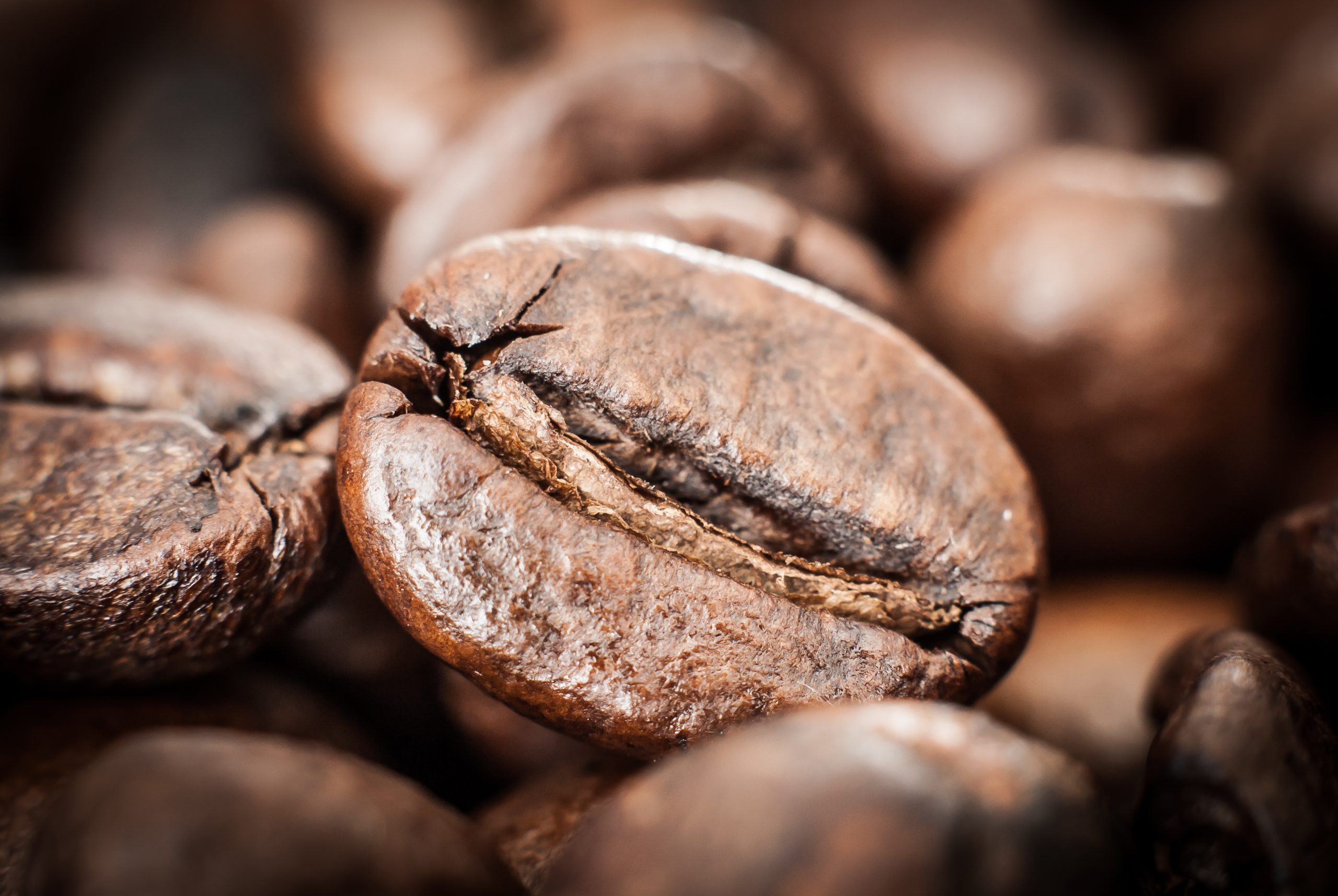 en kaffebønne fotograferet helt tæt på med makroobjektiv.