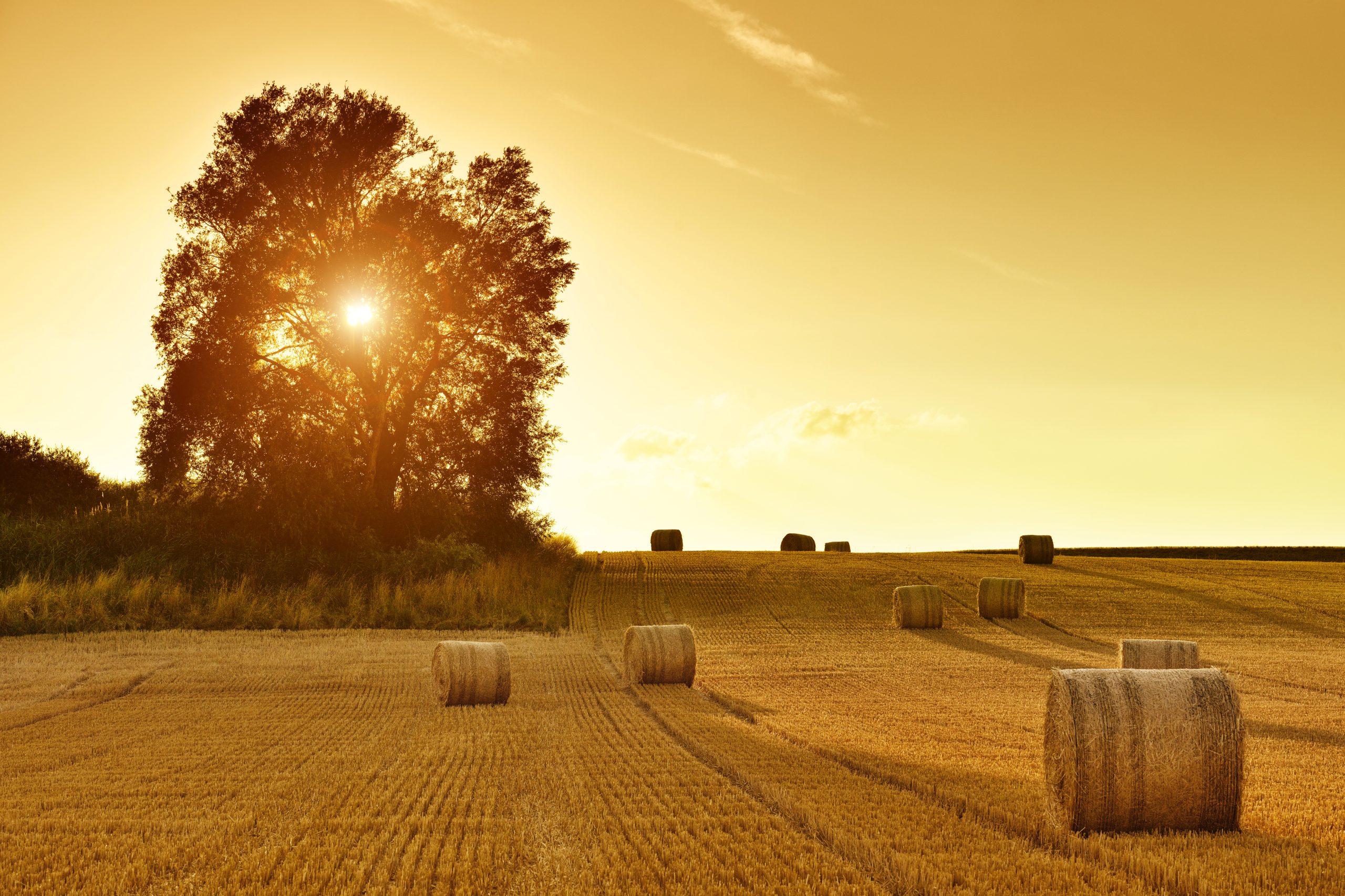 Solnedgang billedredigering fejl begynderfejl