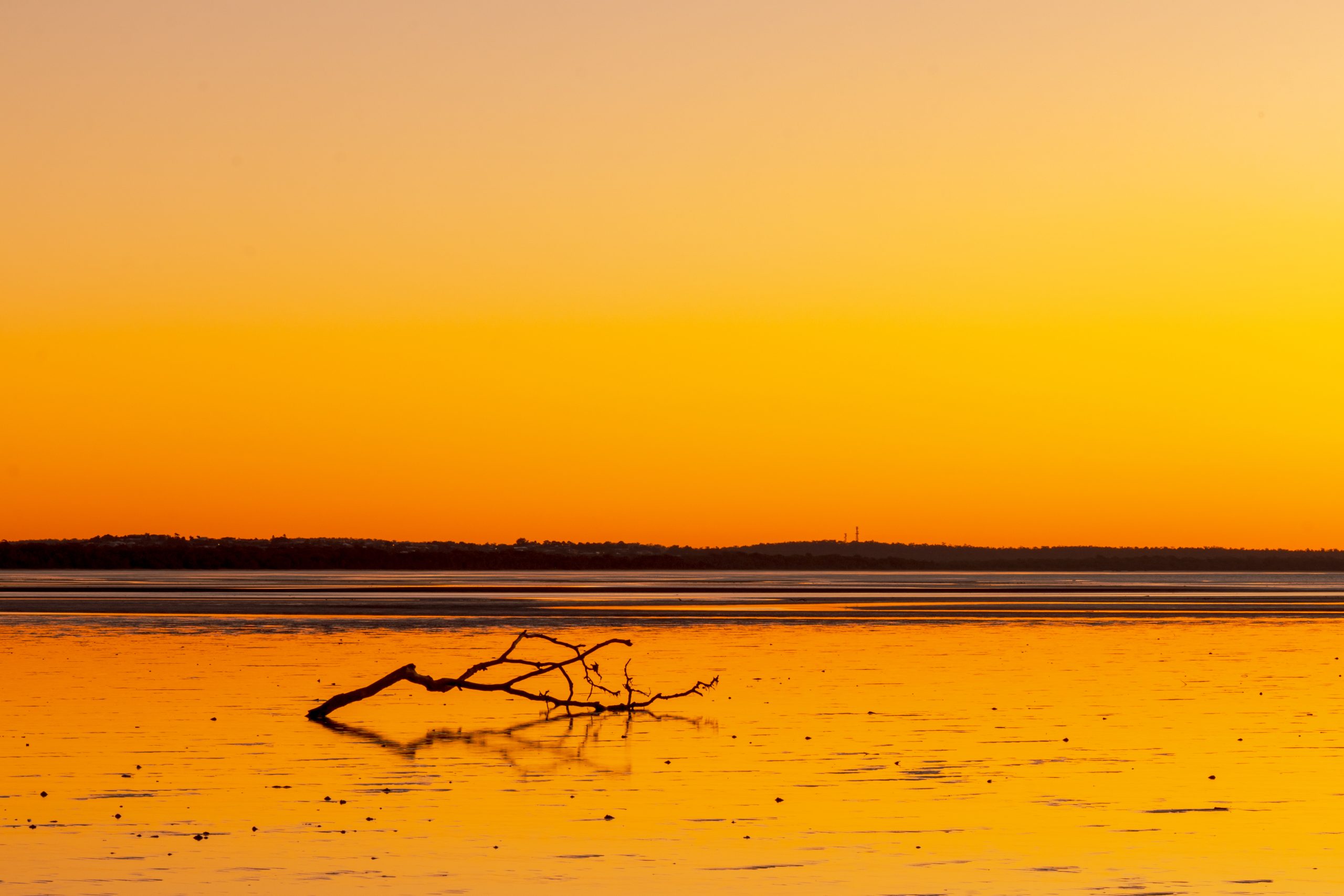 Hieno kuva kultainen hetki