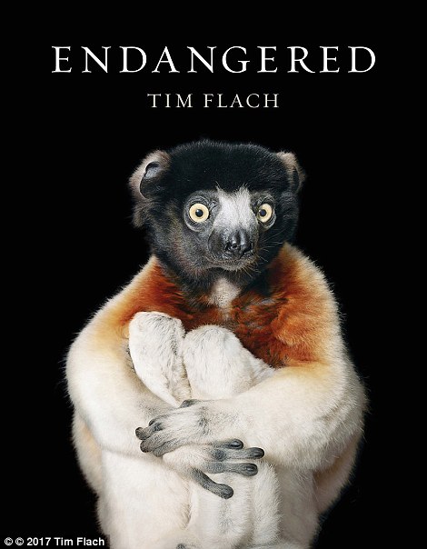 Tim Flach: Endangered
