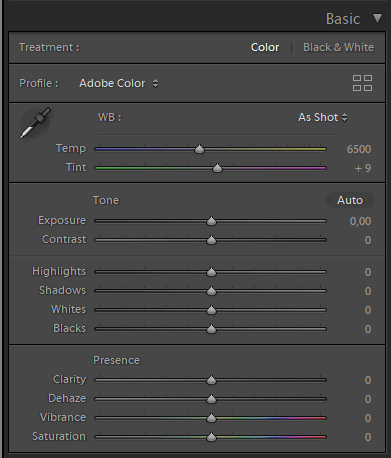 Panelet Basic I Lightroom