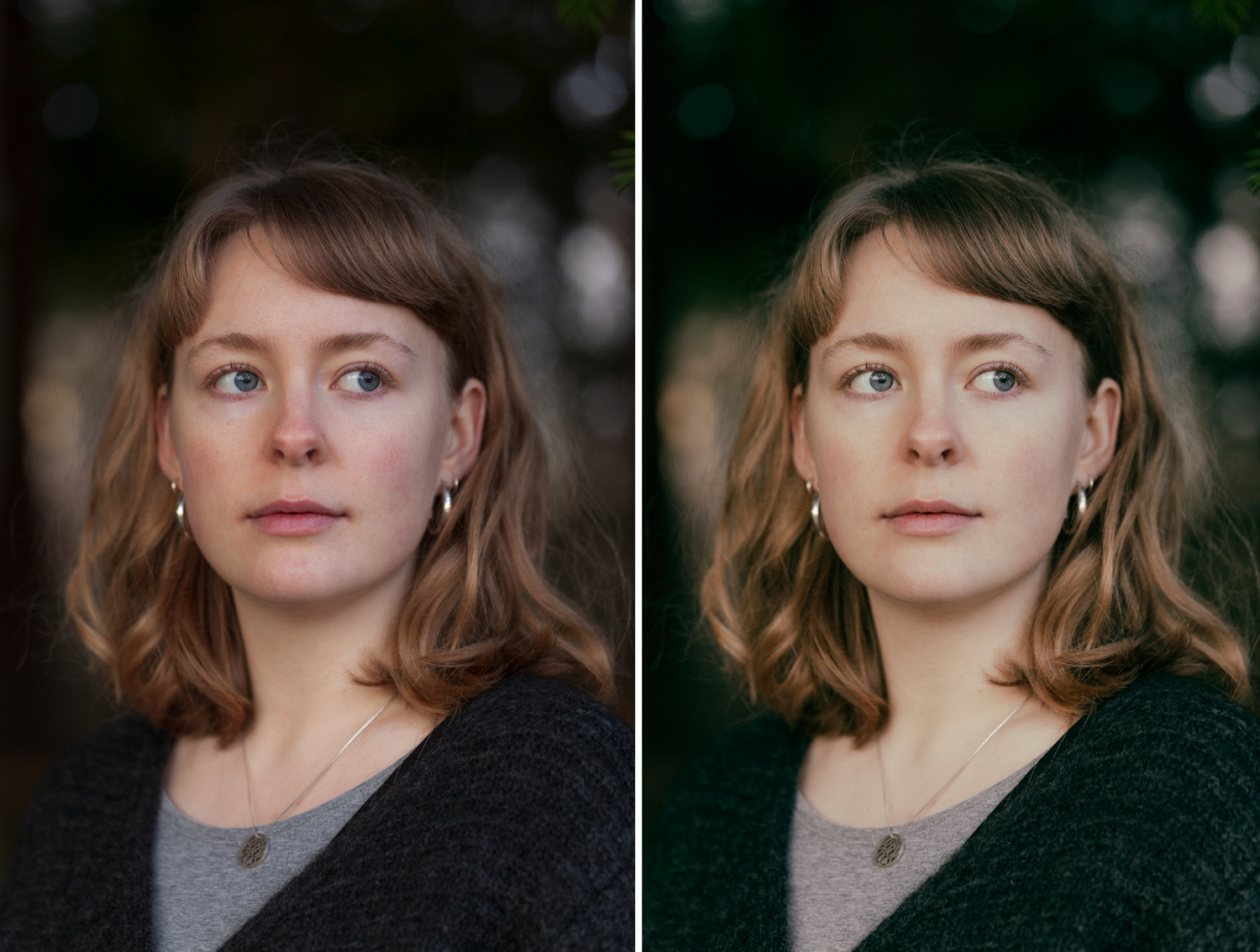 Så använder du en plugin