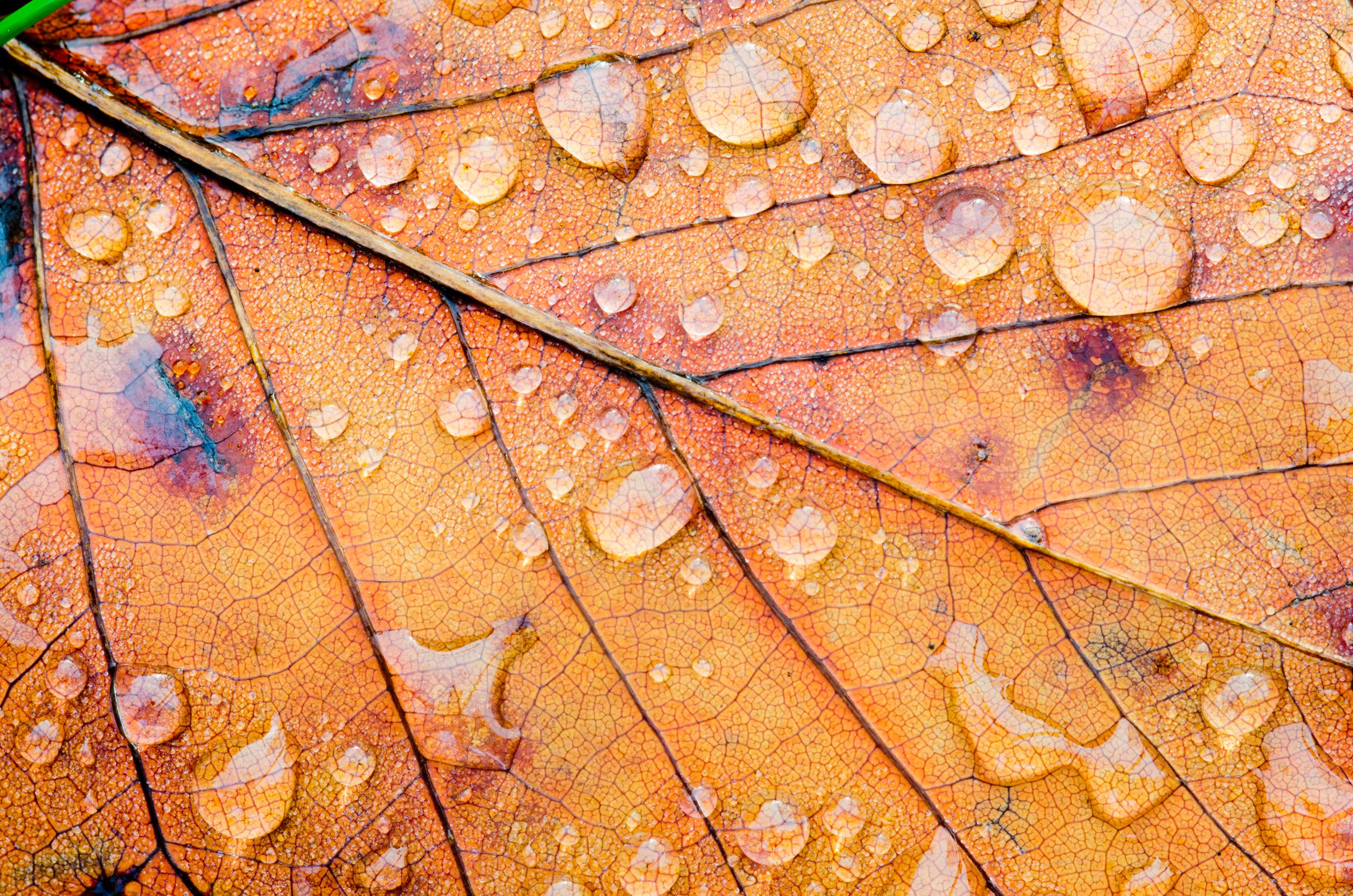 Fotografera vattendroppar