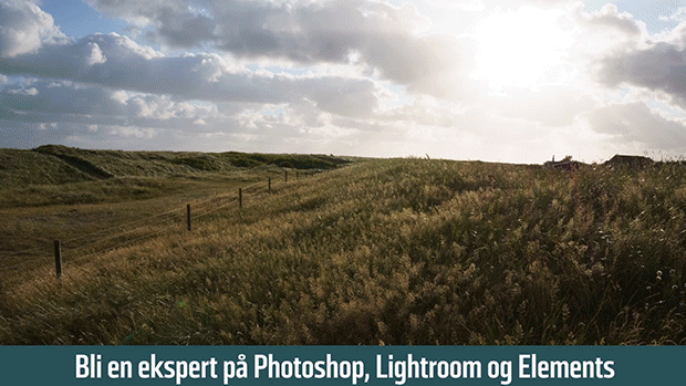 Digital FOTO 100 tips og kurser