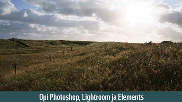 Digikuva 100 vinkkiä ja kurssia