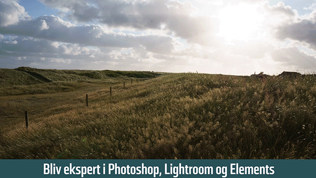 Digital FOTO 100 tips og kurser