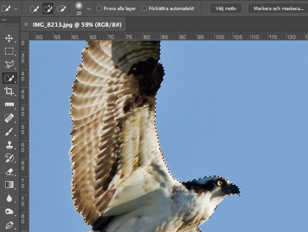 Friläggning med Snabbmarkering i Photoshop