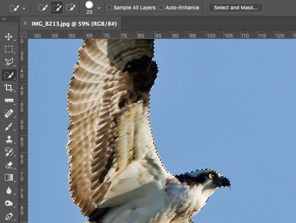Fritlægning med Quick Selection Tool i Photoshop