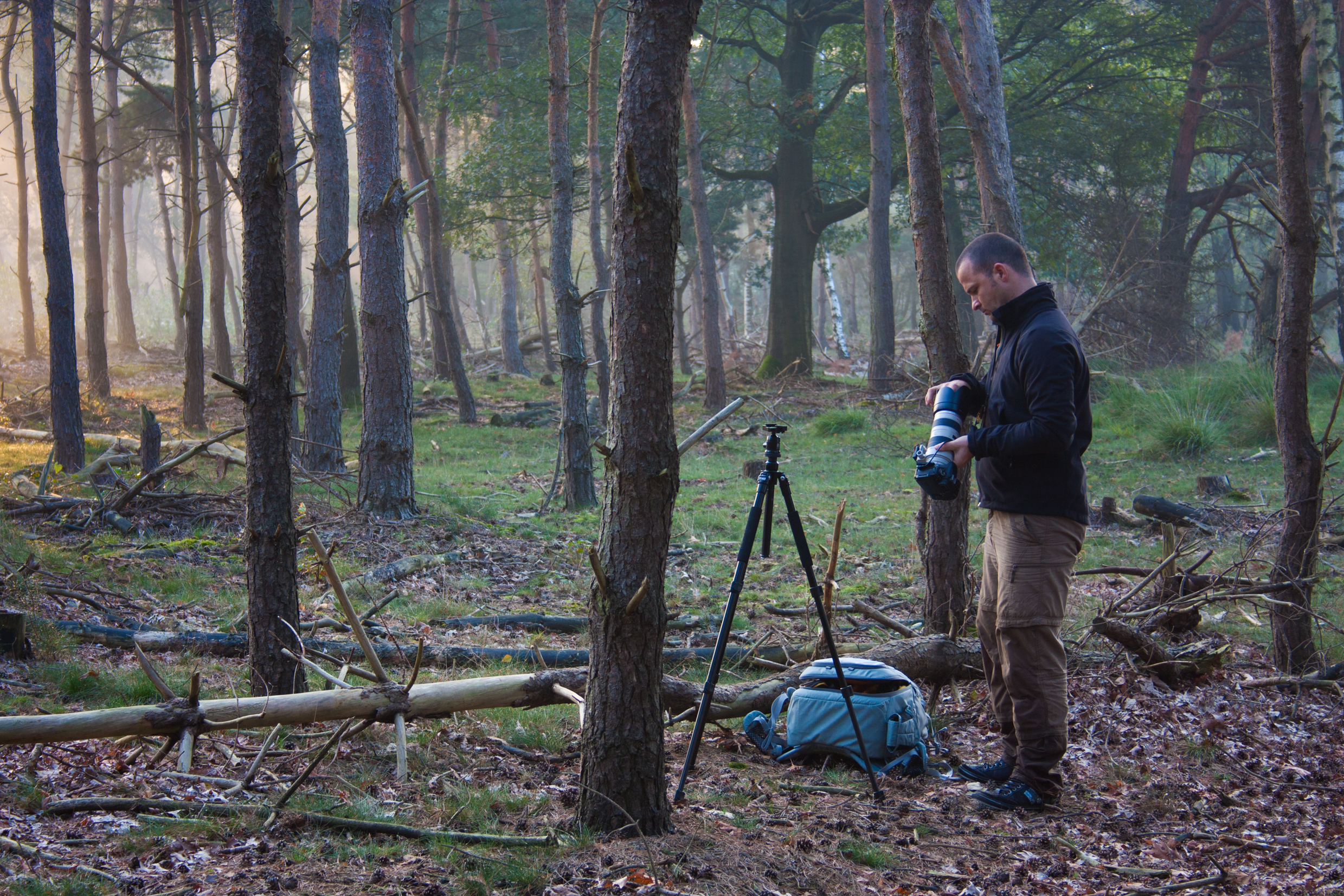 Tips vid fotografering av ugglor