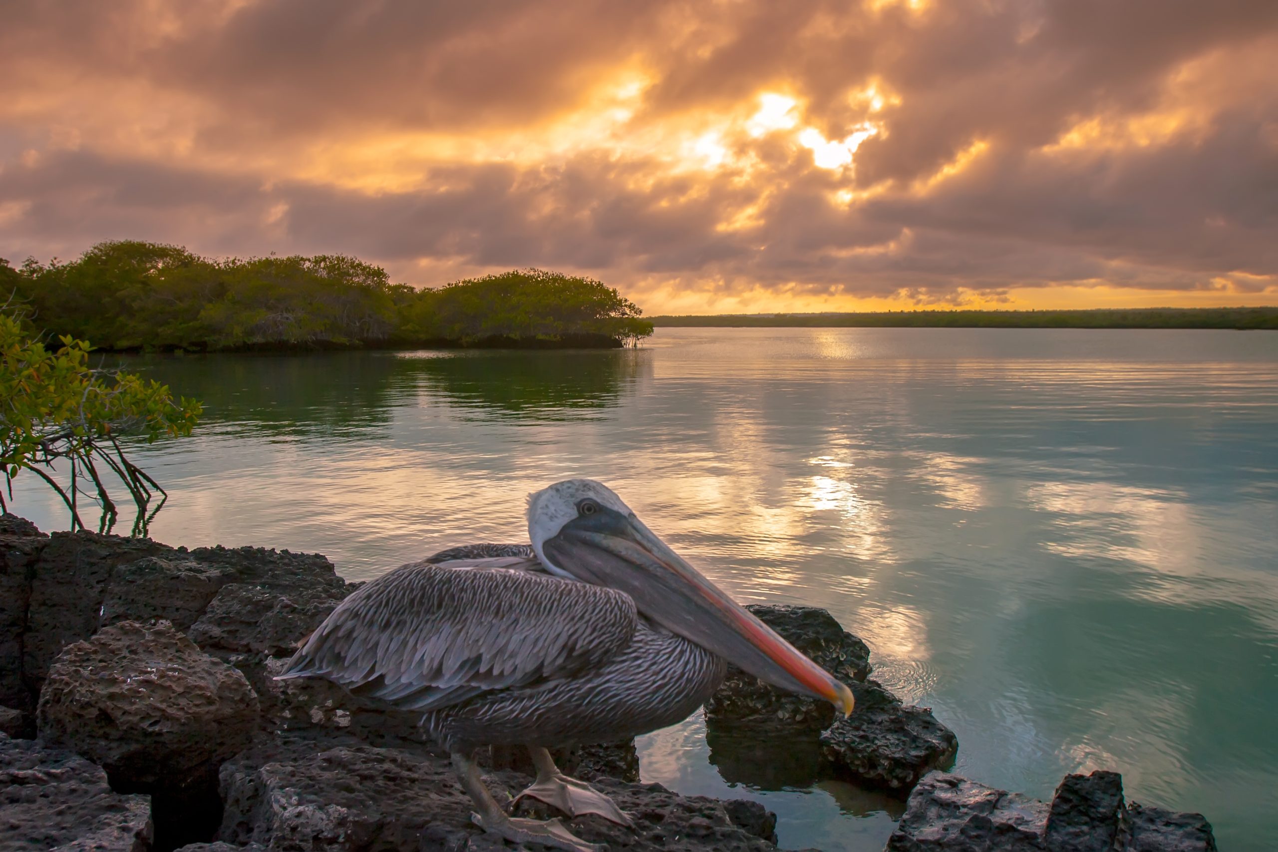 Galapagos matkakohteet matkakuvaus