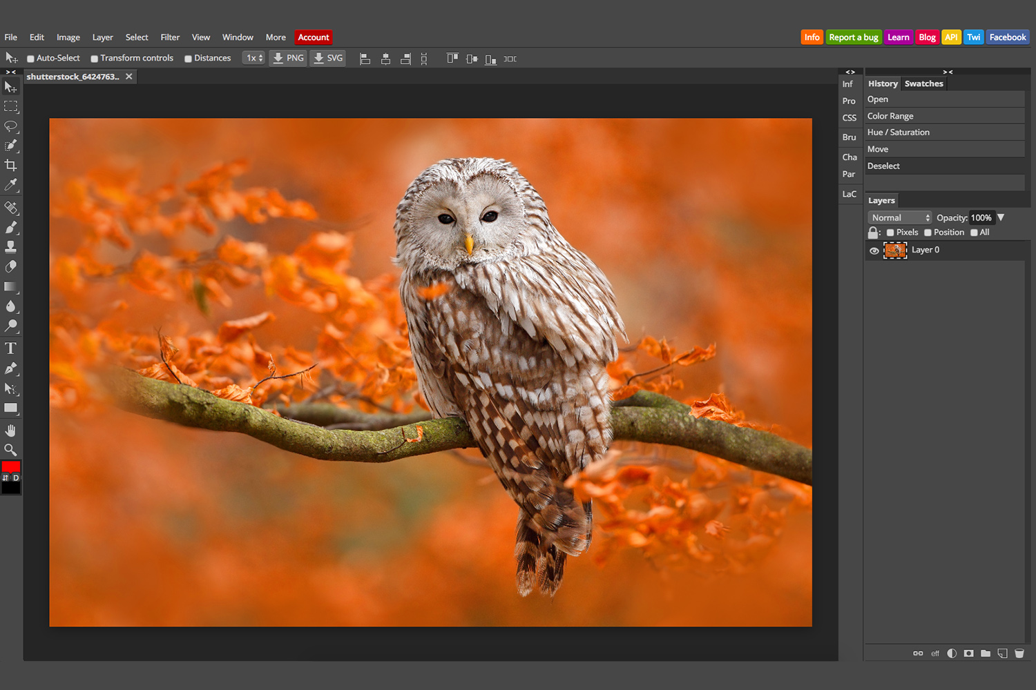 Photopea Photoshop-kopi