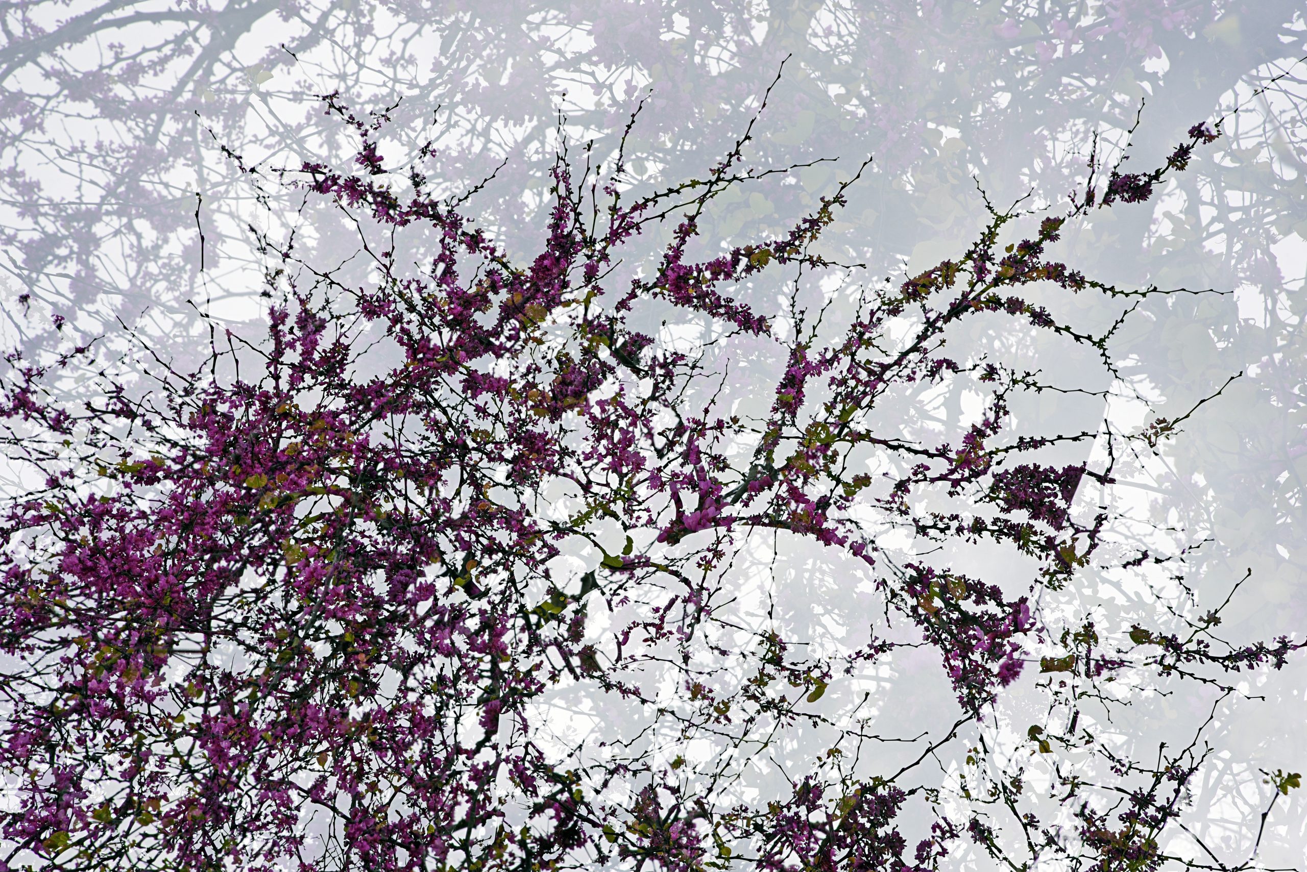 Bild tagen med dubbelexponering i kameran