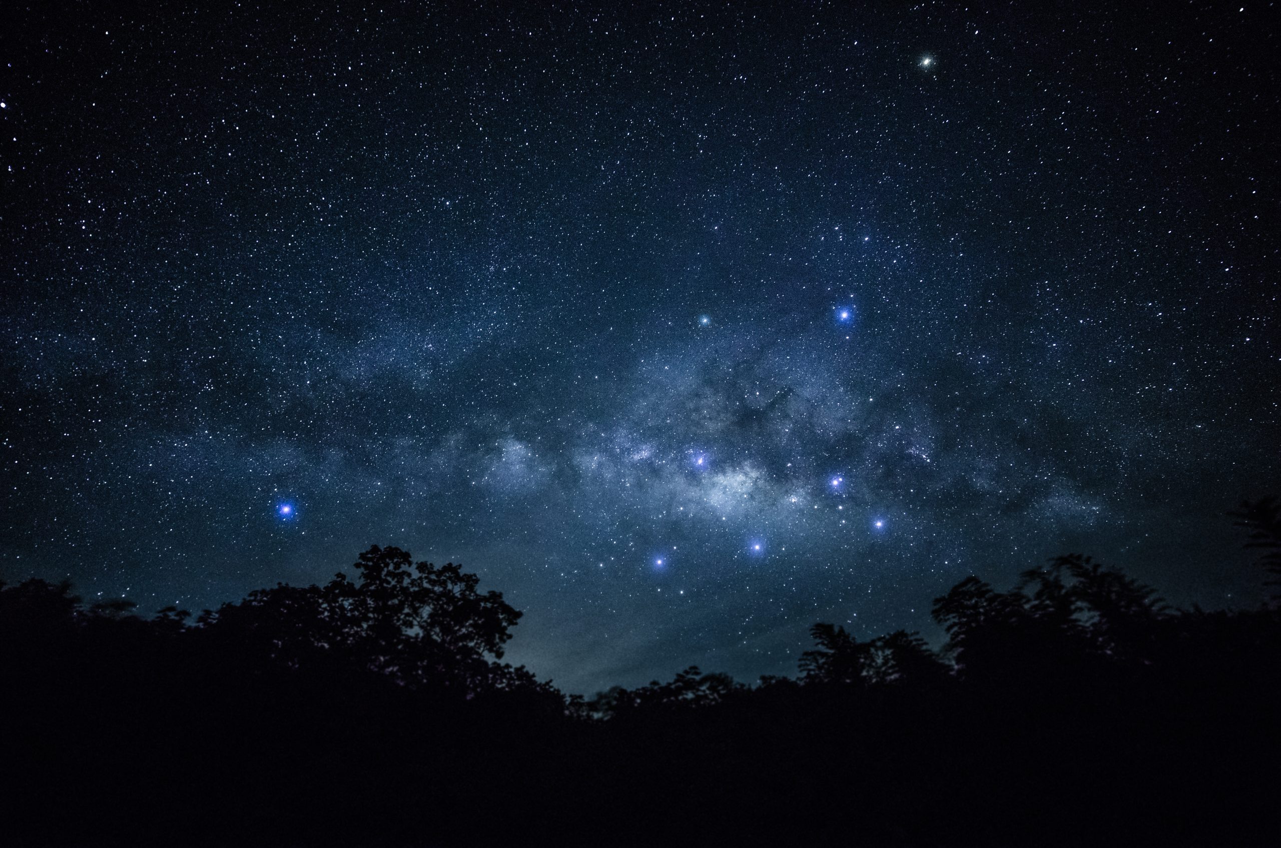 Stjernefoto av Melkeveien og stjerner på nattehimmel med skog i forgrunnen