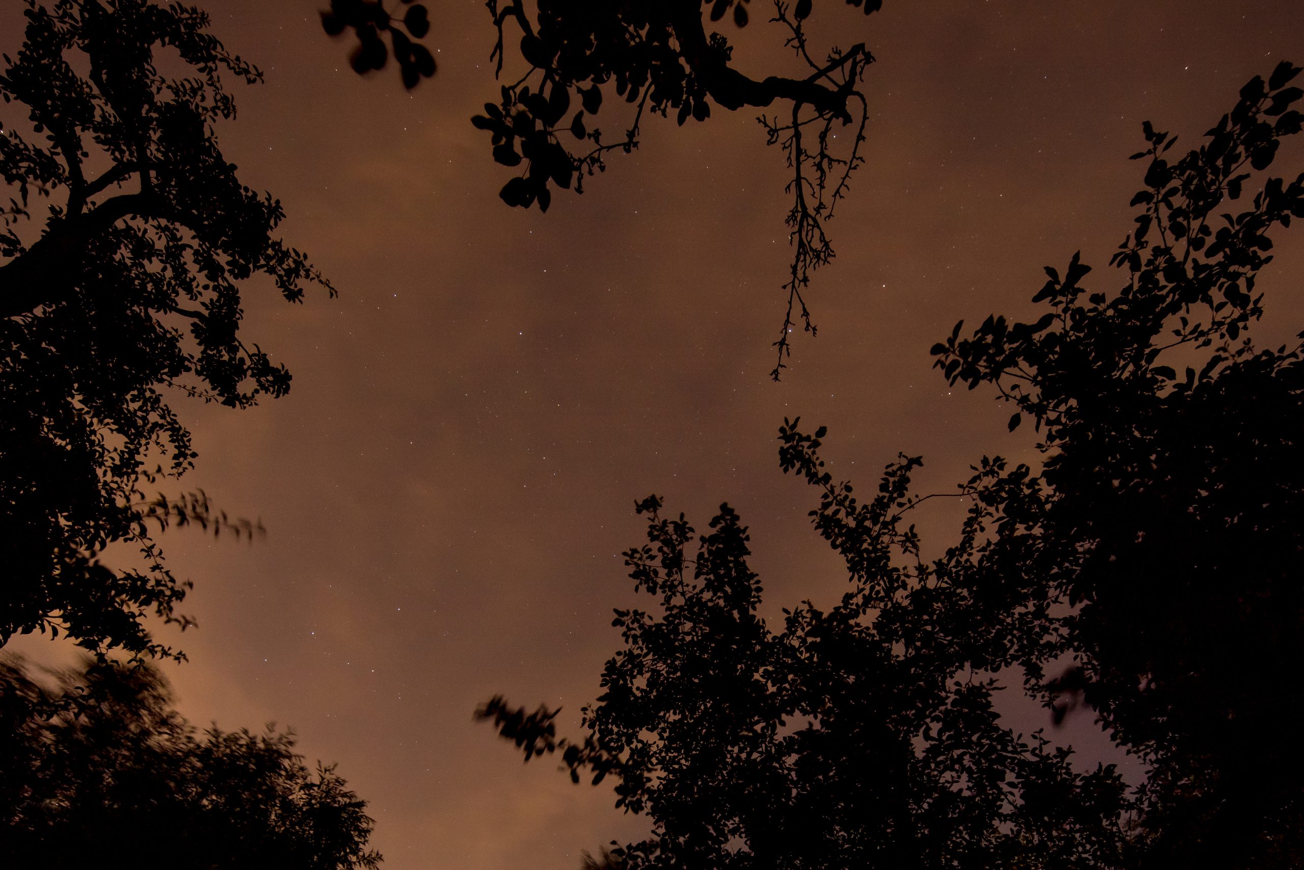 Tähtikuvaus valosaaste