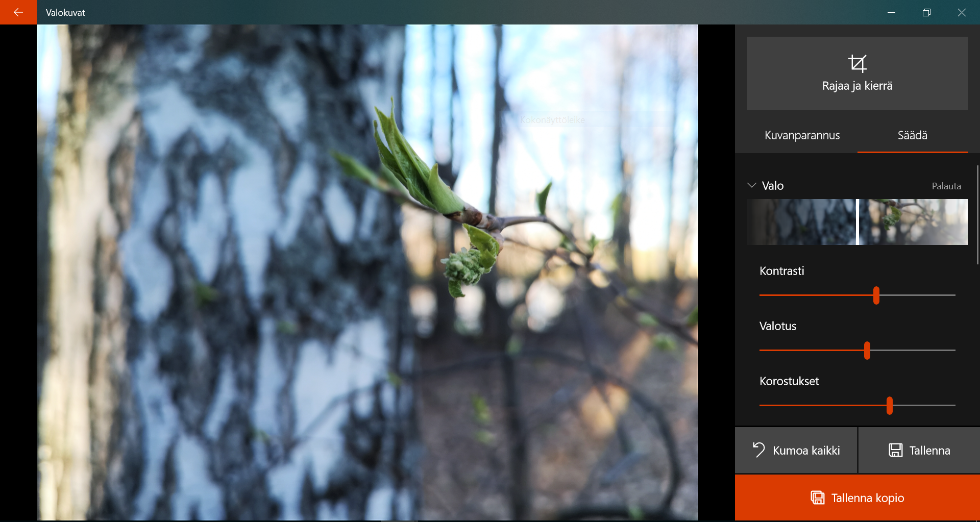 Kuvankäsittely Windows 10 – Microsoft Valokuvat