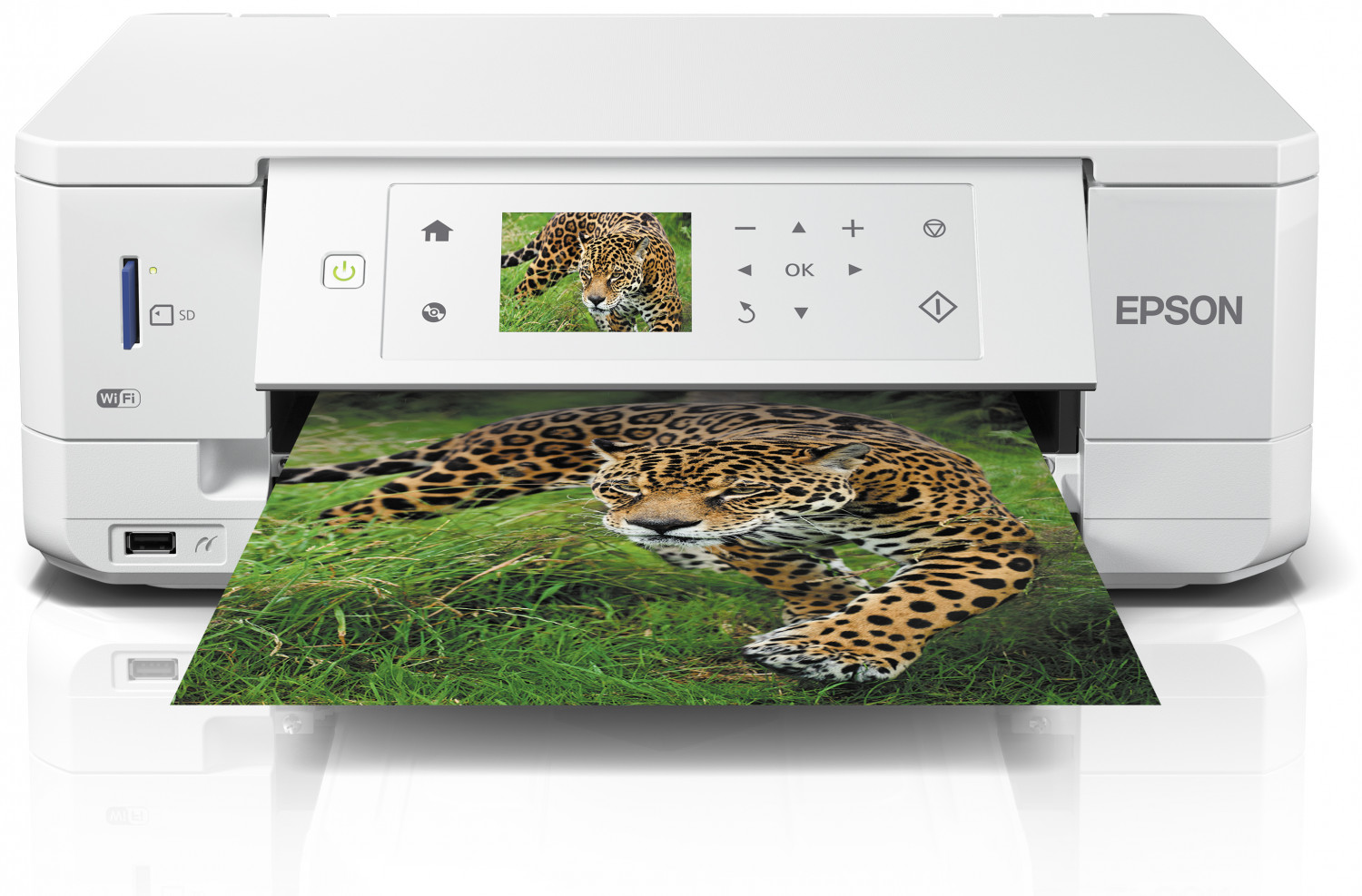Epson Expression Premium XP-645