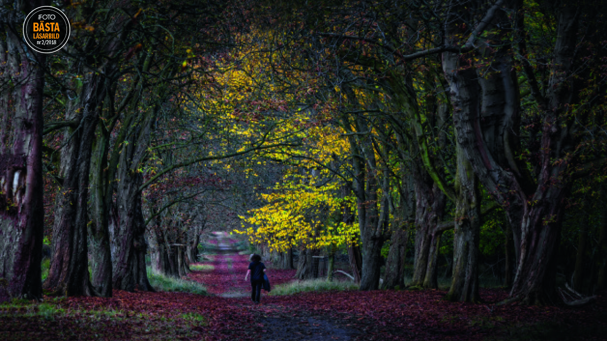 Månadens vinnare från vår fototävling