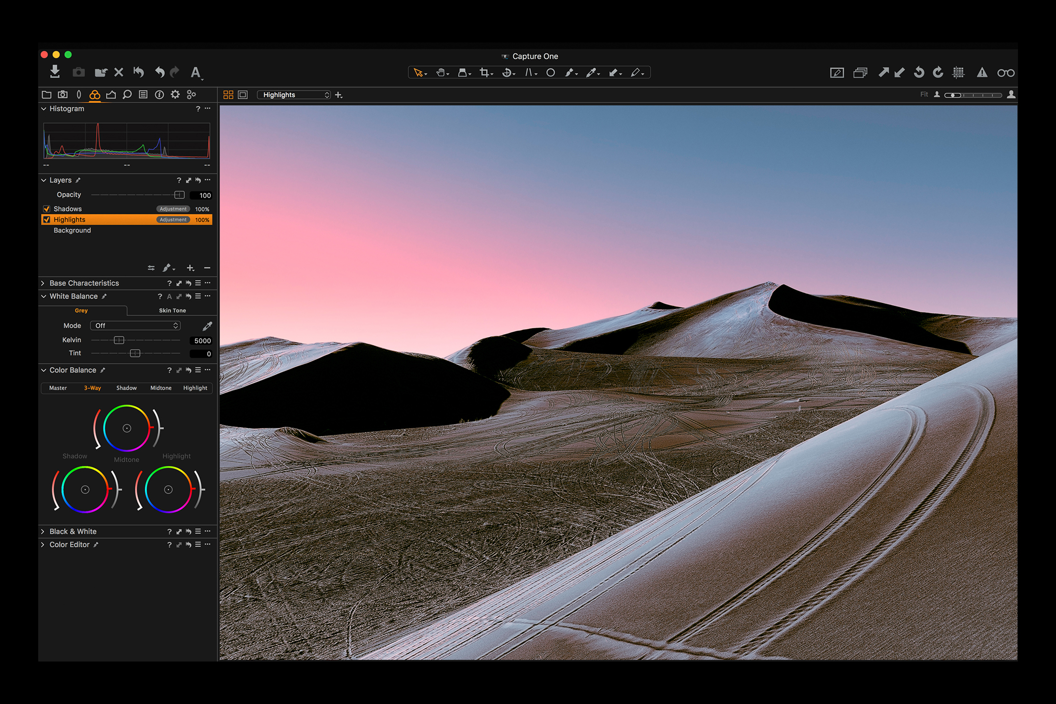 Phase One Capture One Pro