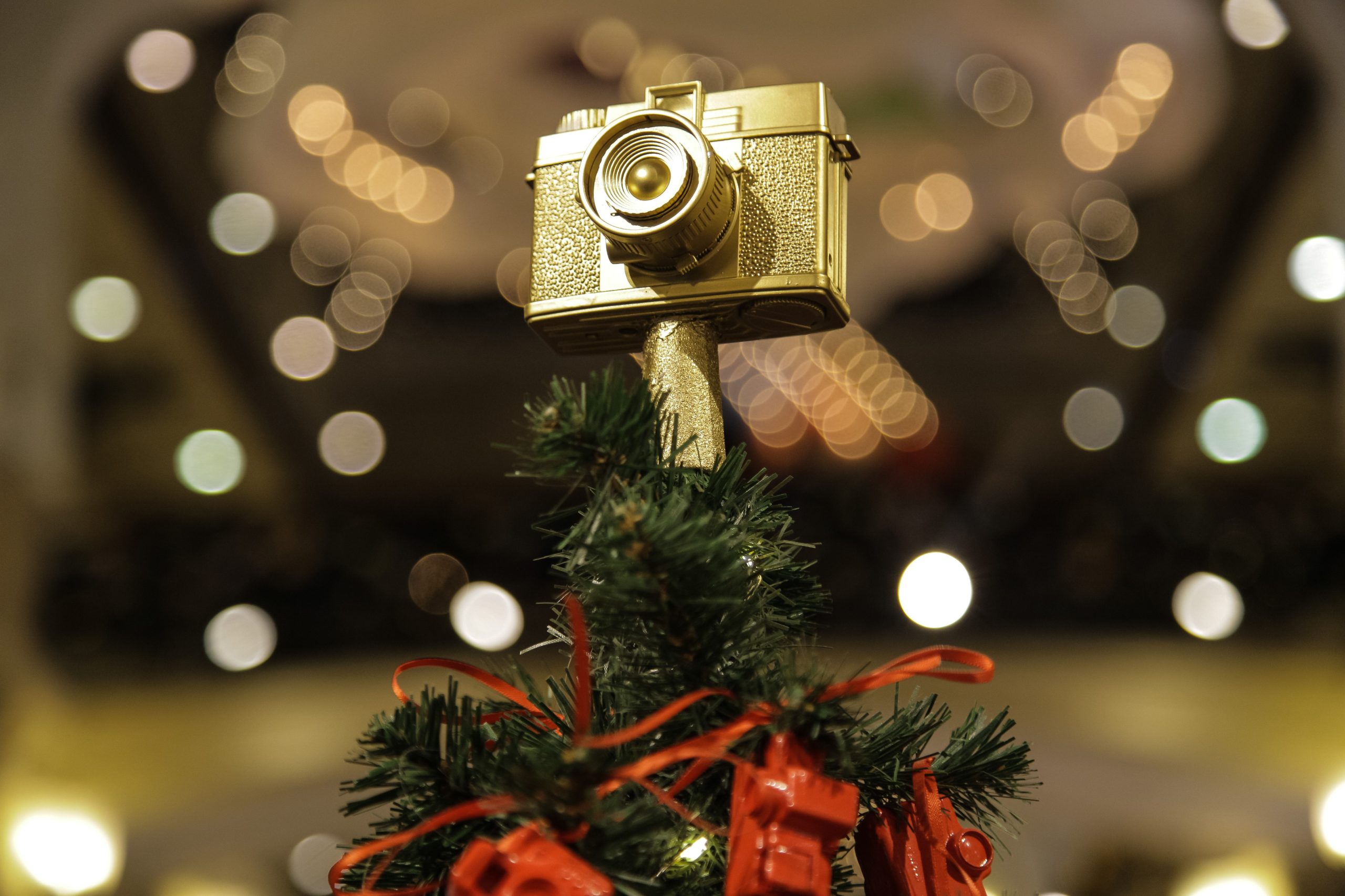 Kamera på jueltræet