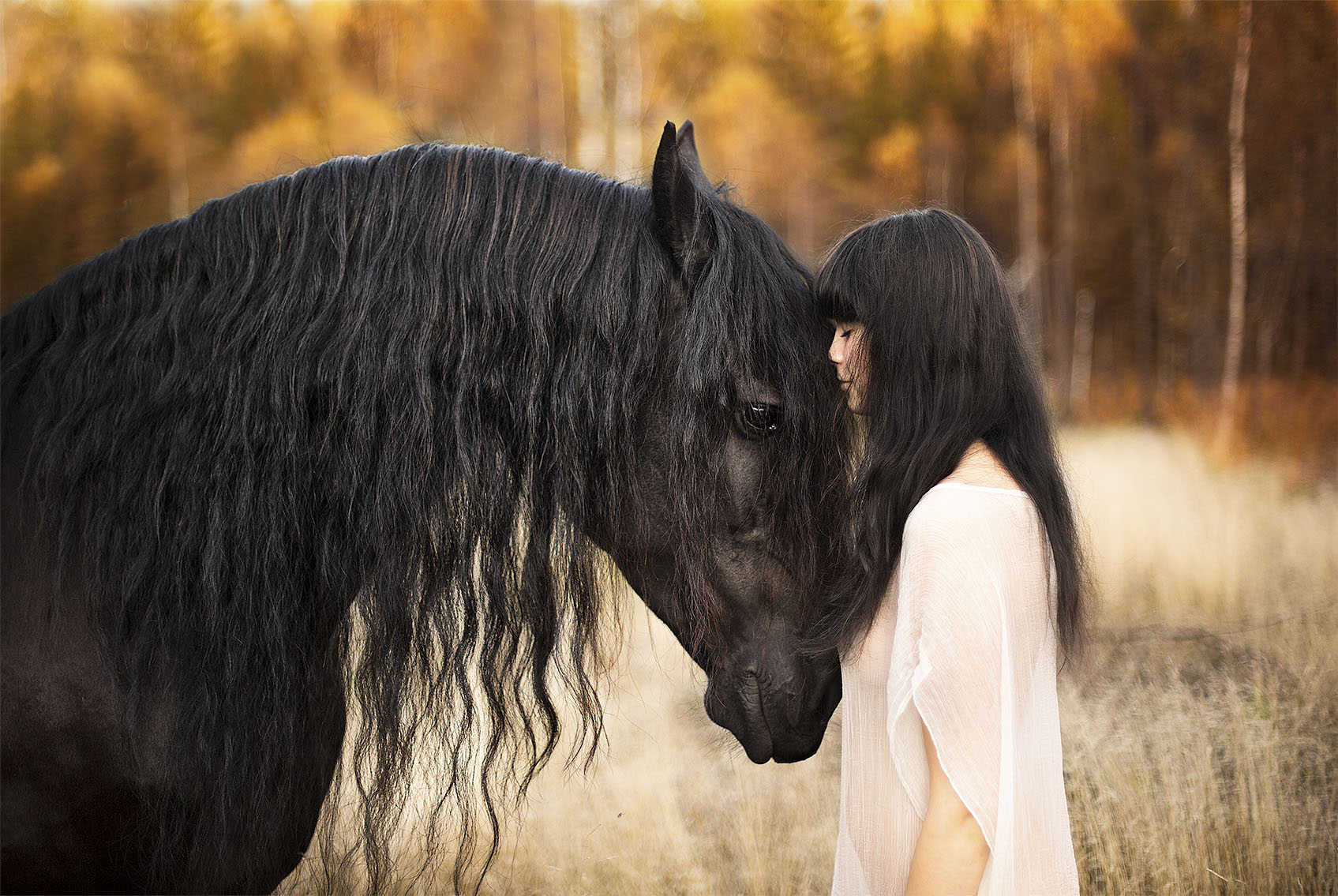 Kvinne og hest fotografert av vinnerfotograf