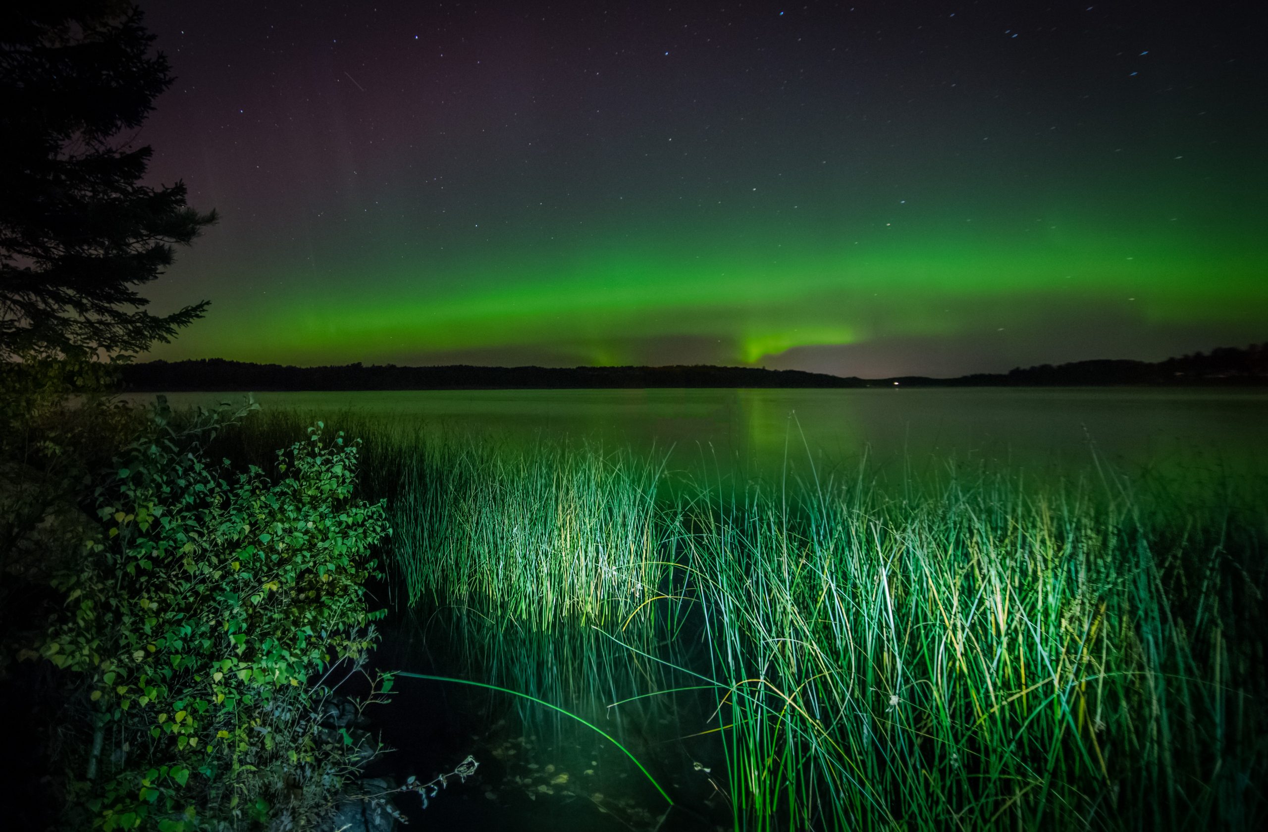 Nordlys over innsjø om sommeren
