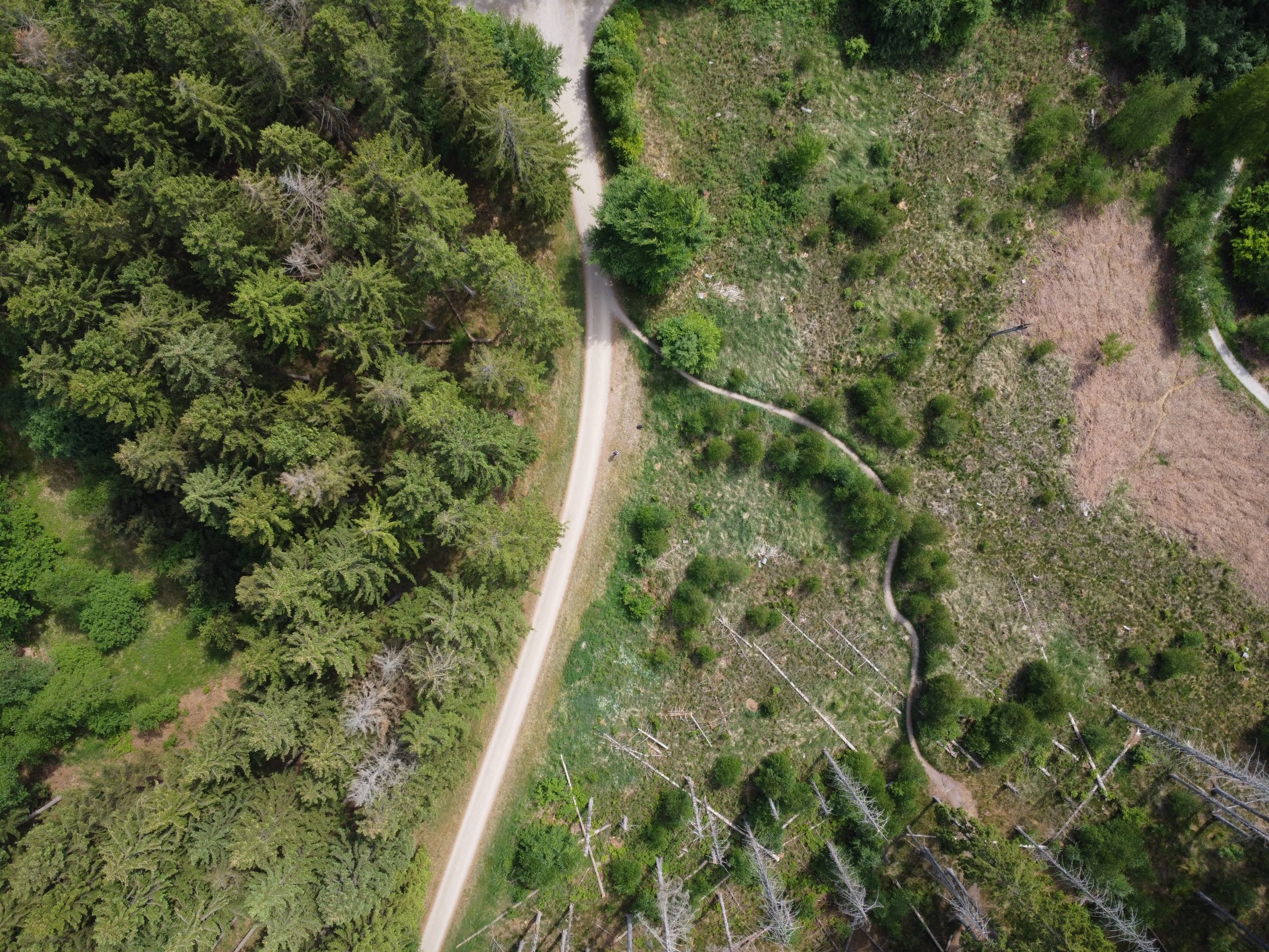 Billede taget fra drone
