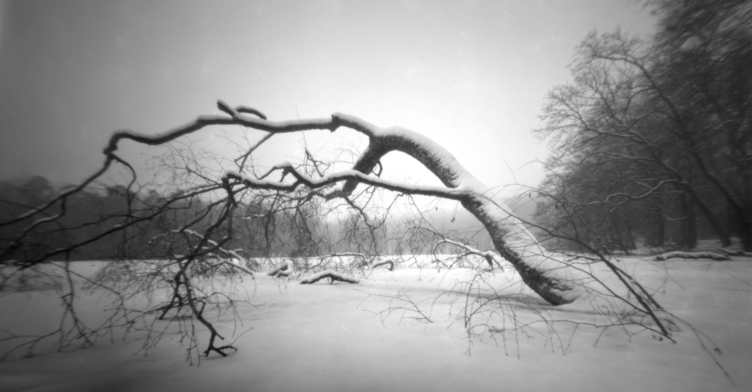 Sort-hvid foto taget med hjemmelavet kamera.