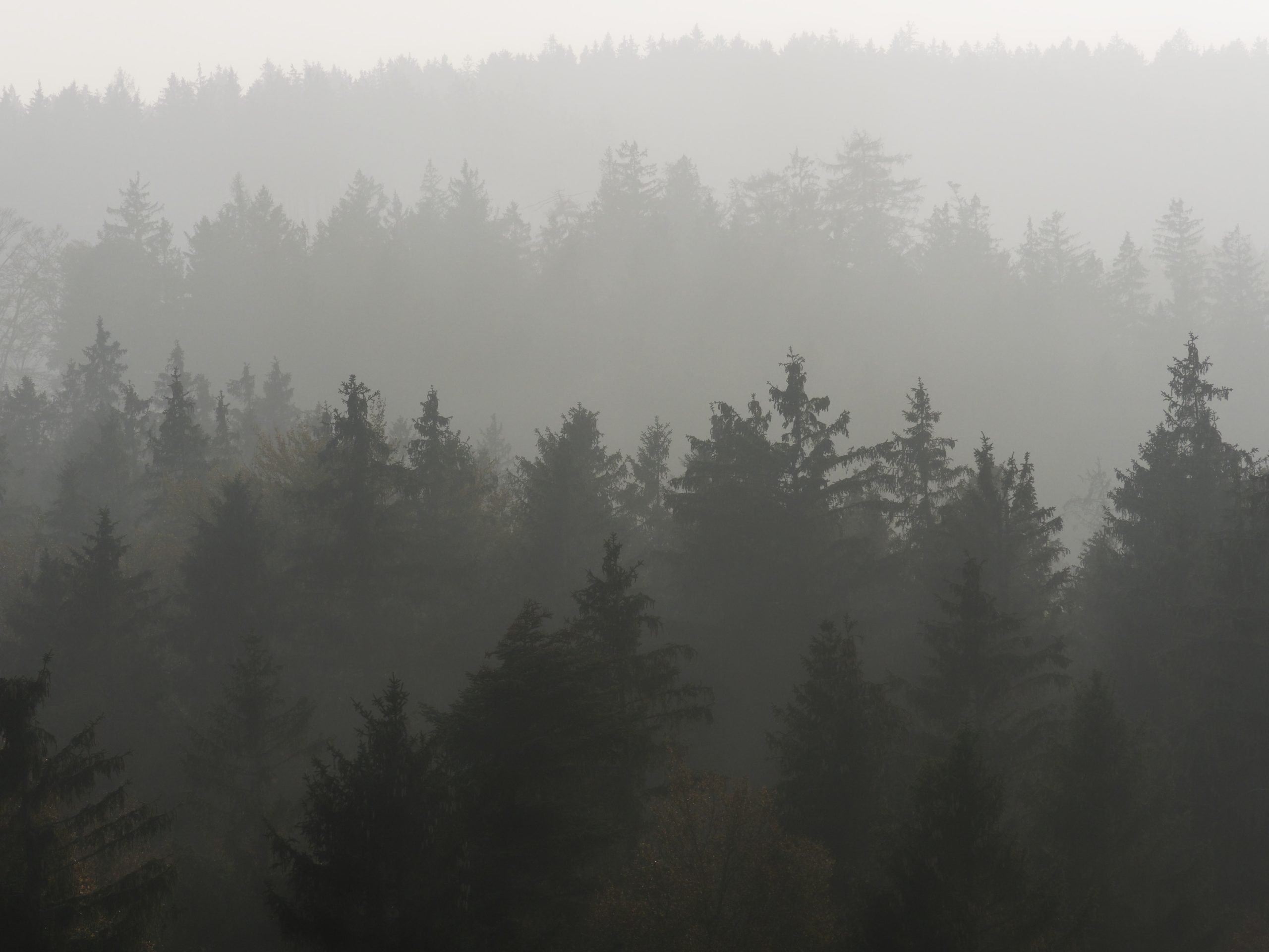 Lag på lag-effekt i landskab.