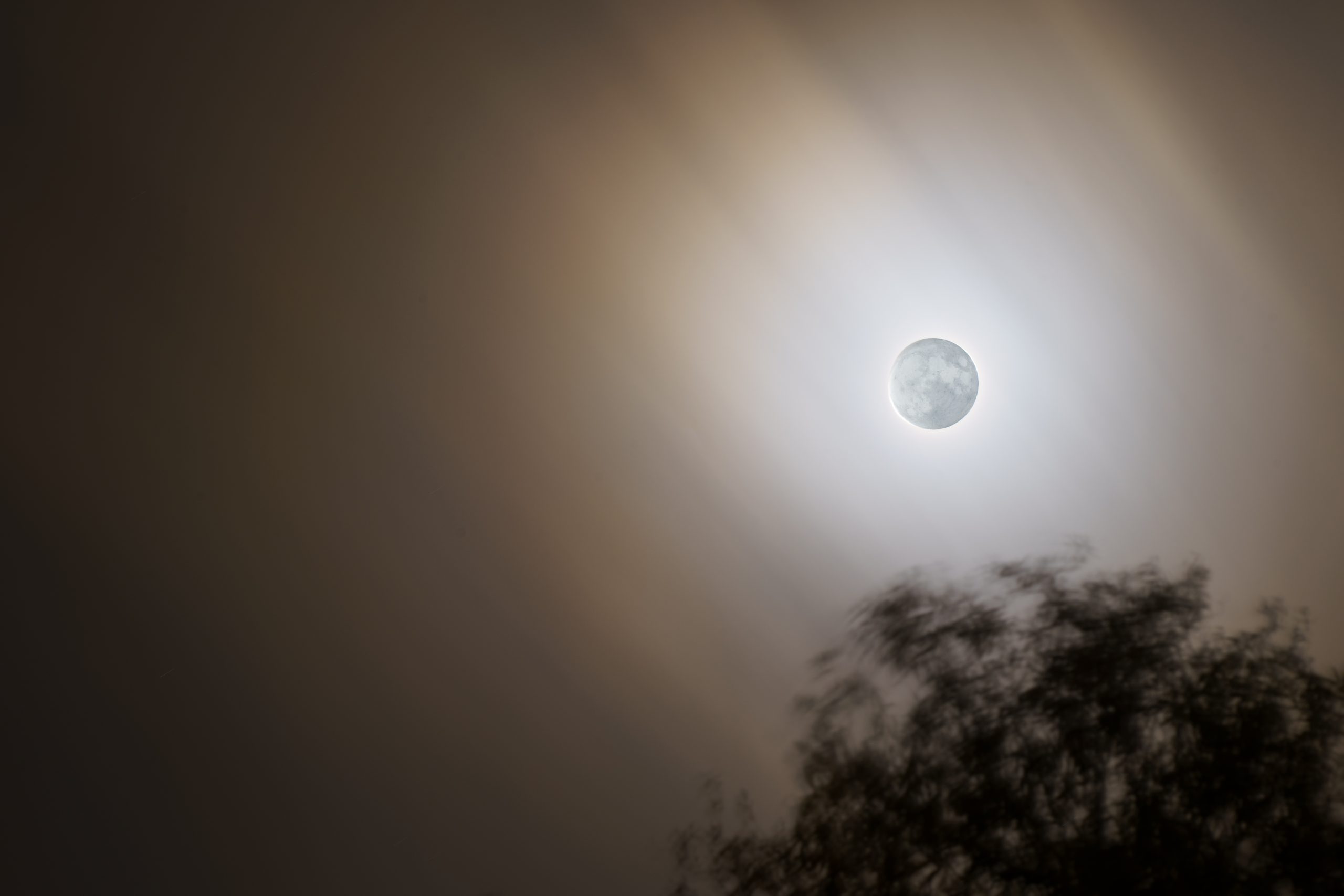 Fuldmåne på aftenhimmel