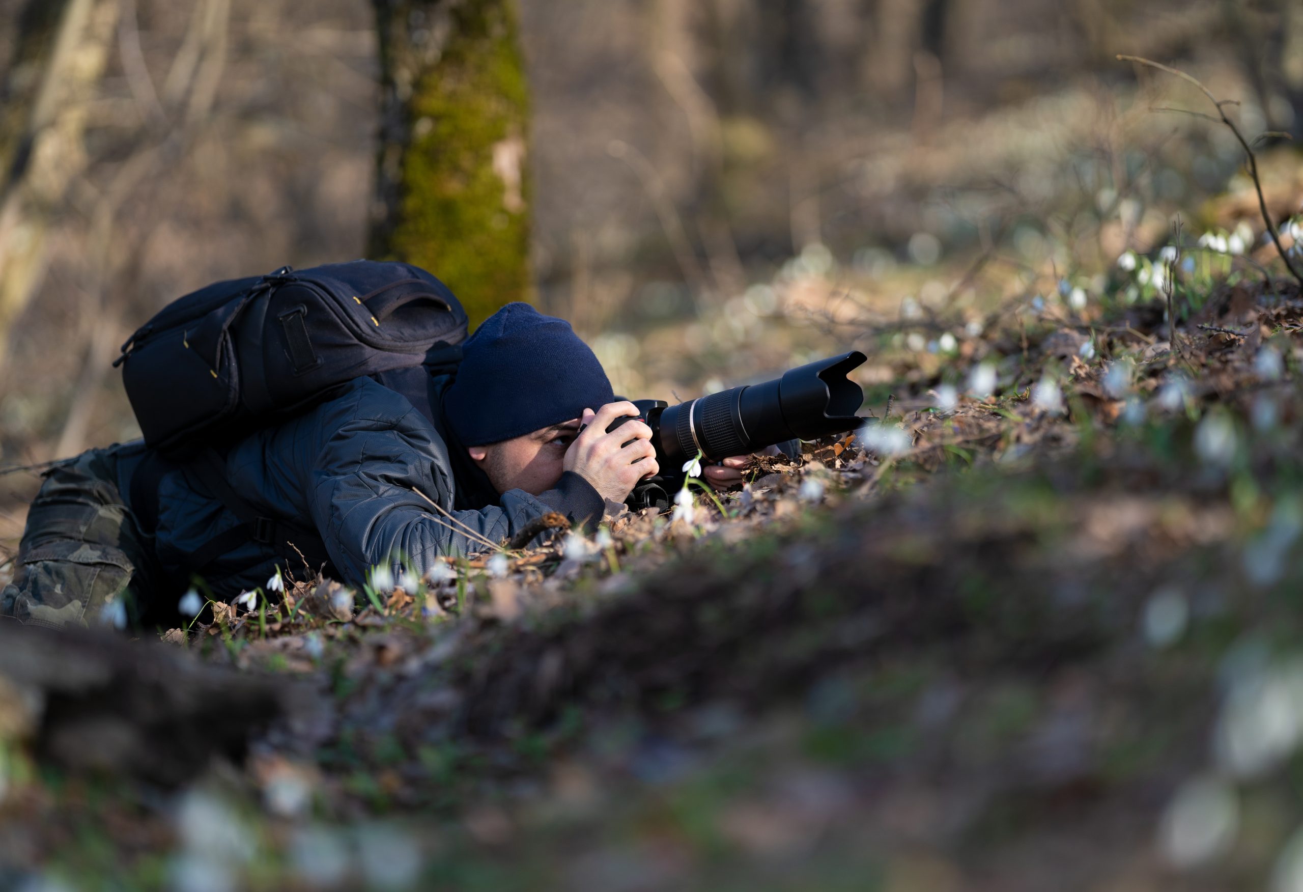 Tips til den absolutte begynder