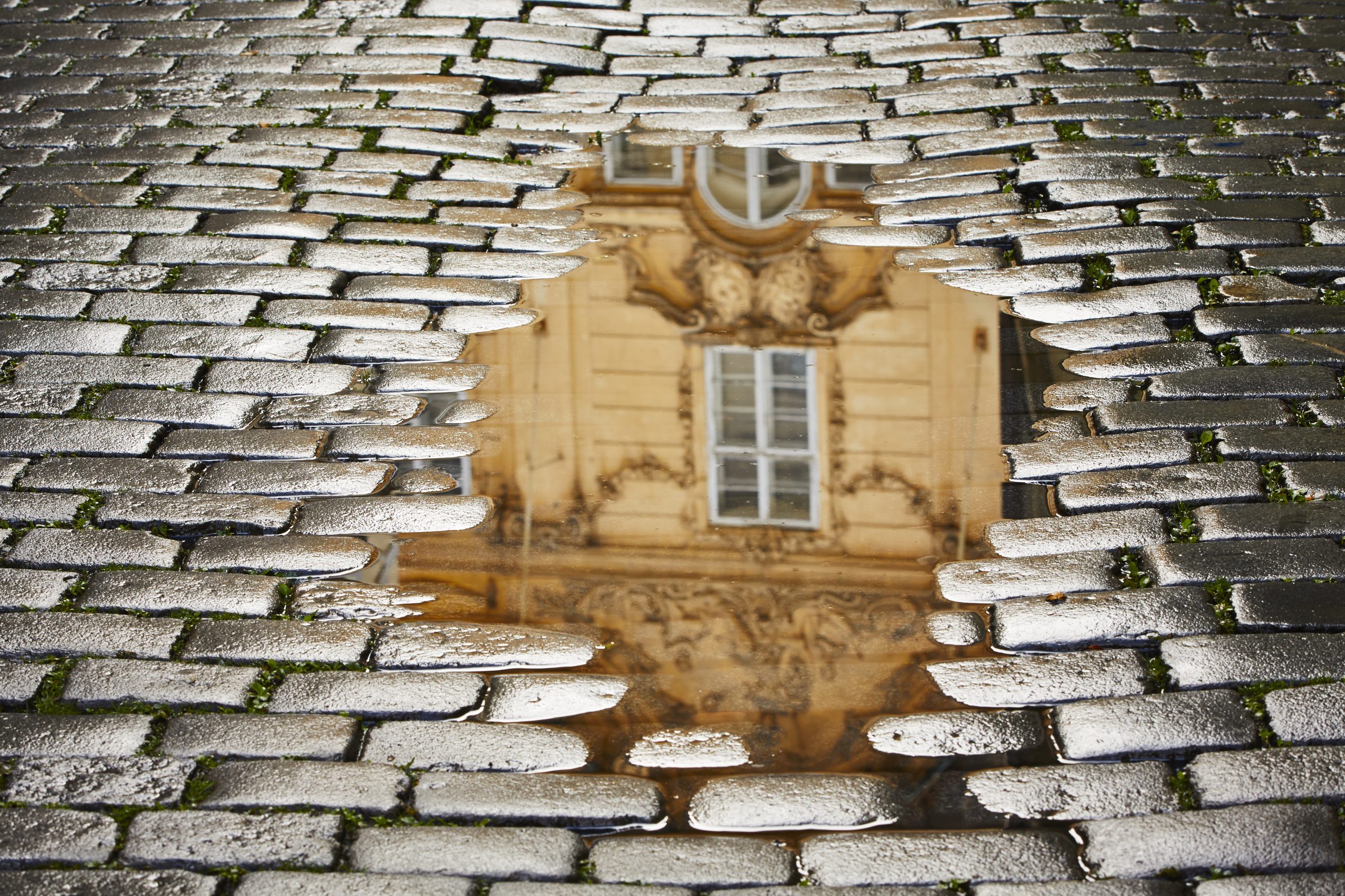 Gjenspeilinger fotografert i vanndam