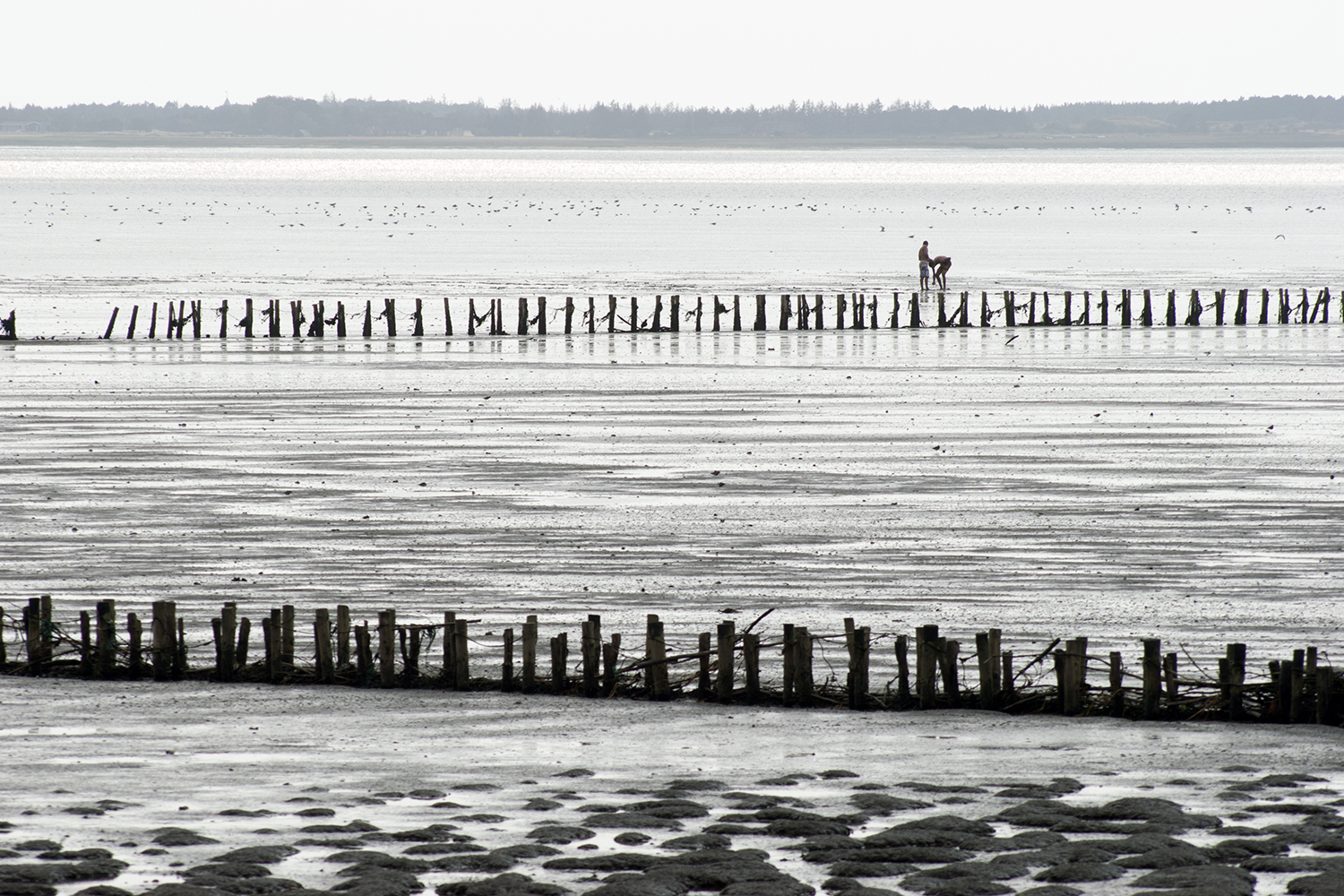 Två personer på vandring vid havet