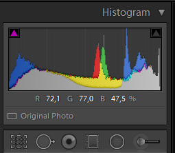 Photoshop Lightroomin histogrammi