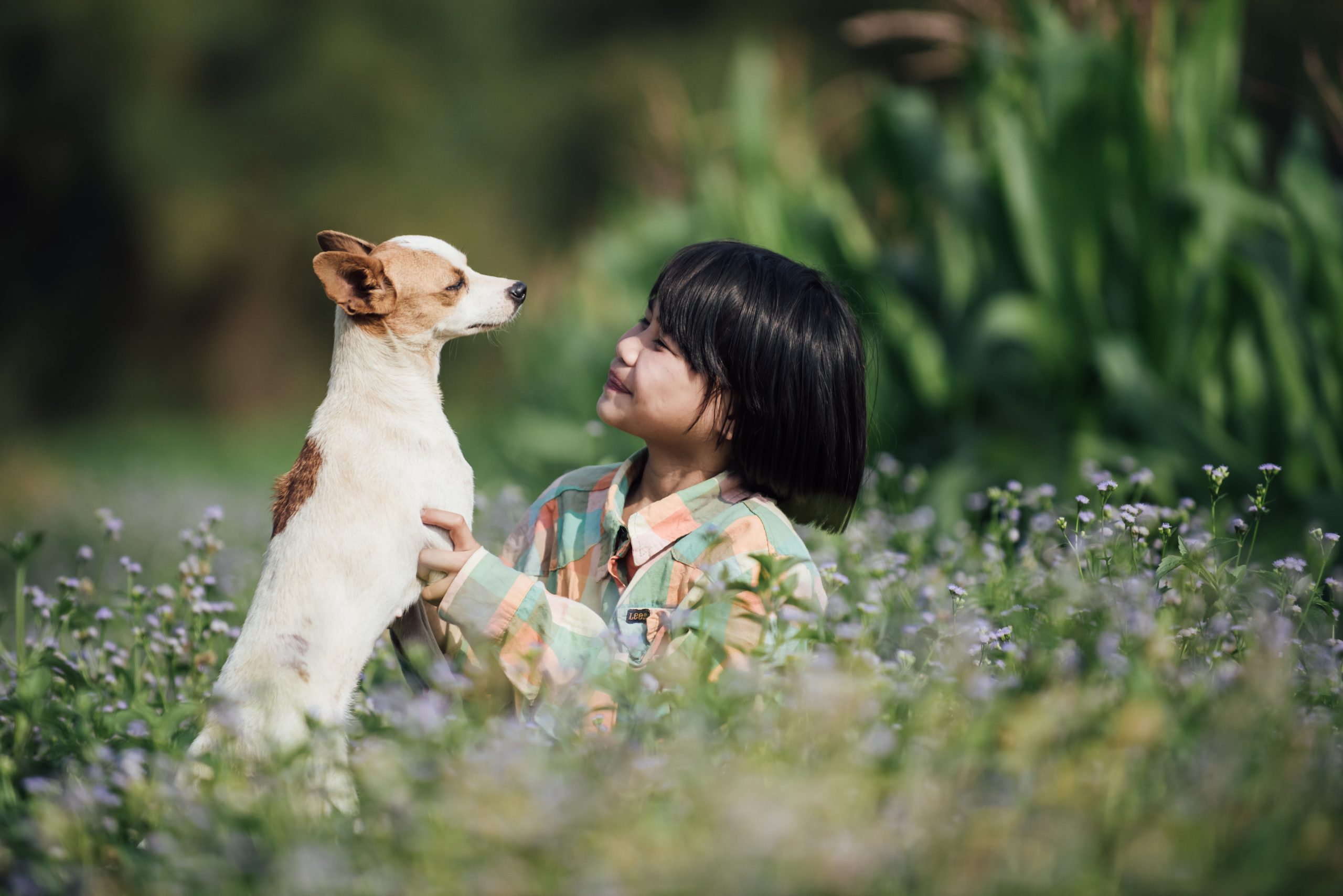 Barn og hund i godt lys