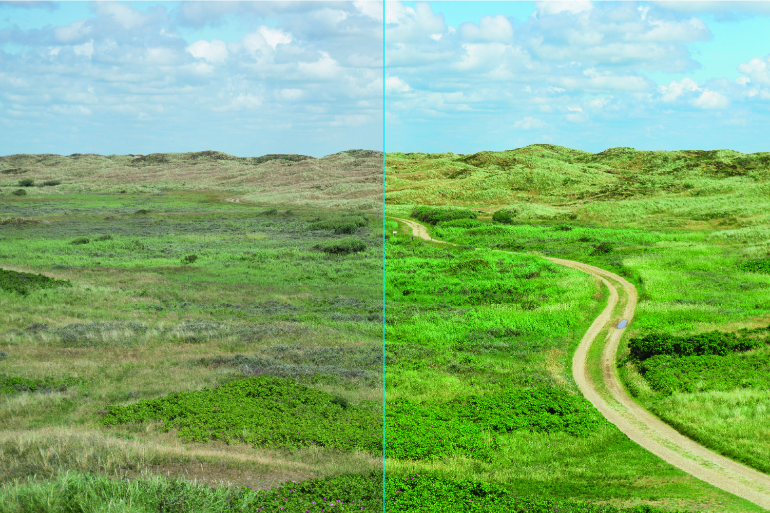 Före- och efterlandskap i Lightroom