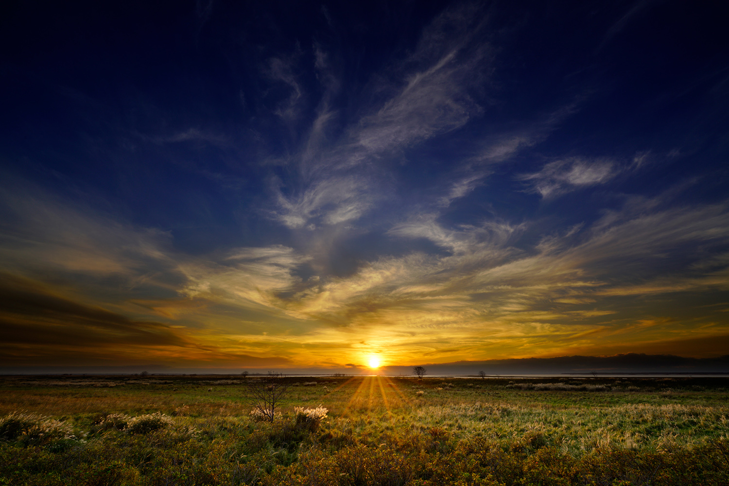 Sony Digitalt filter