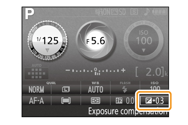 Nikon-kameran valotuksenkorjaus.
