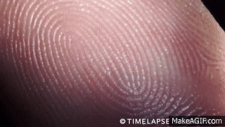 Se hvordan dit fingeraftryk bliver til helt tæt på