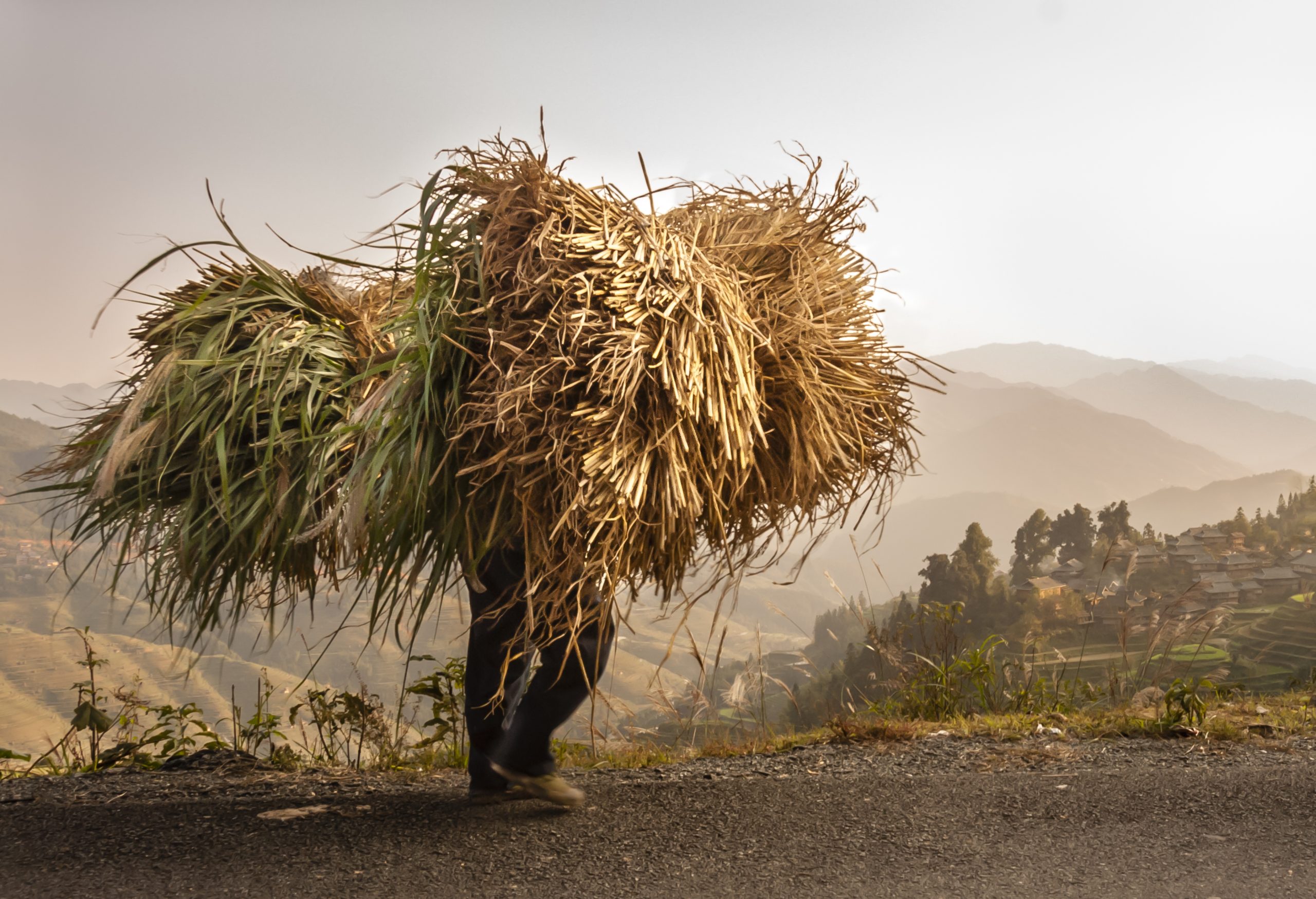 Evelyn Nodwell International Garden Photographer of the Year