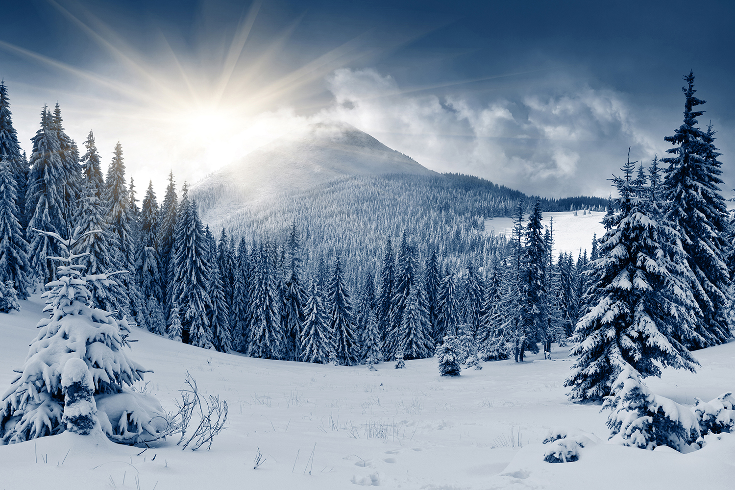 Panoramamabilder på høykant kan gi landskapsbildene dine mer liv